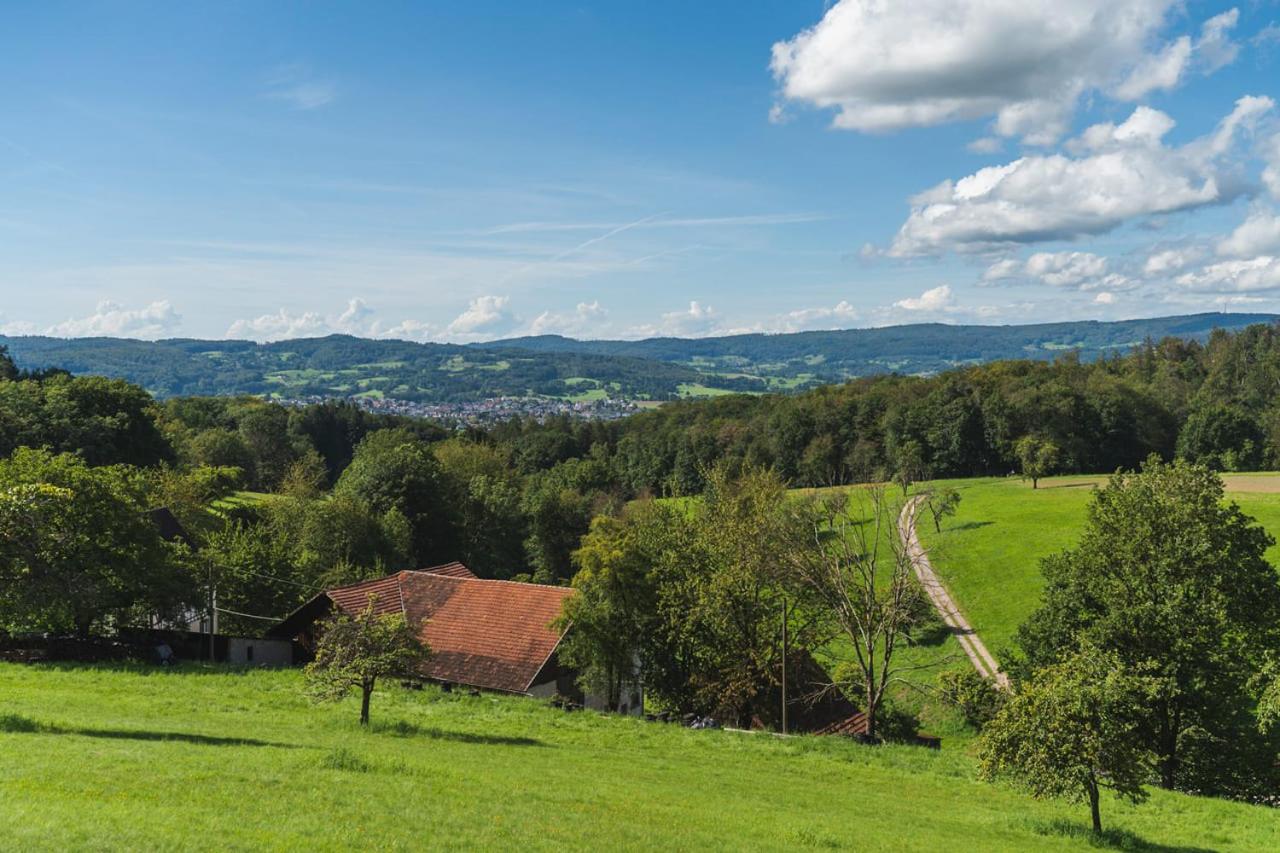 Grünewaldhof in Rimbach im Odenwald