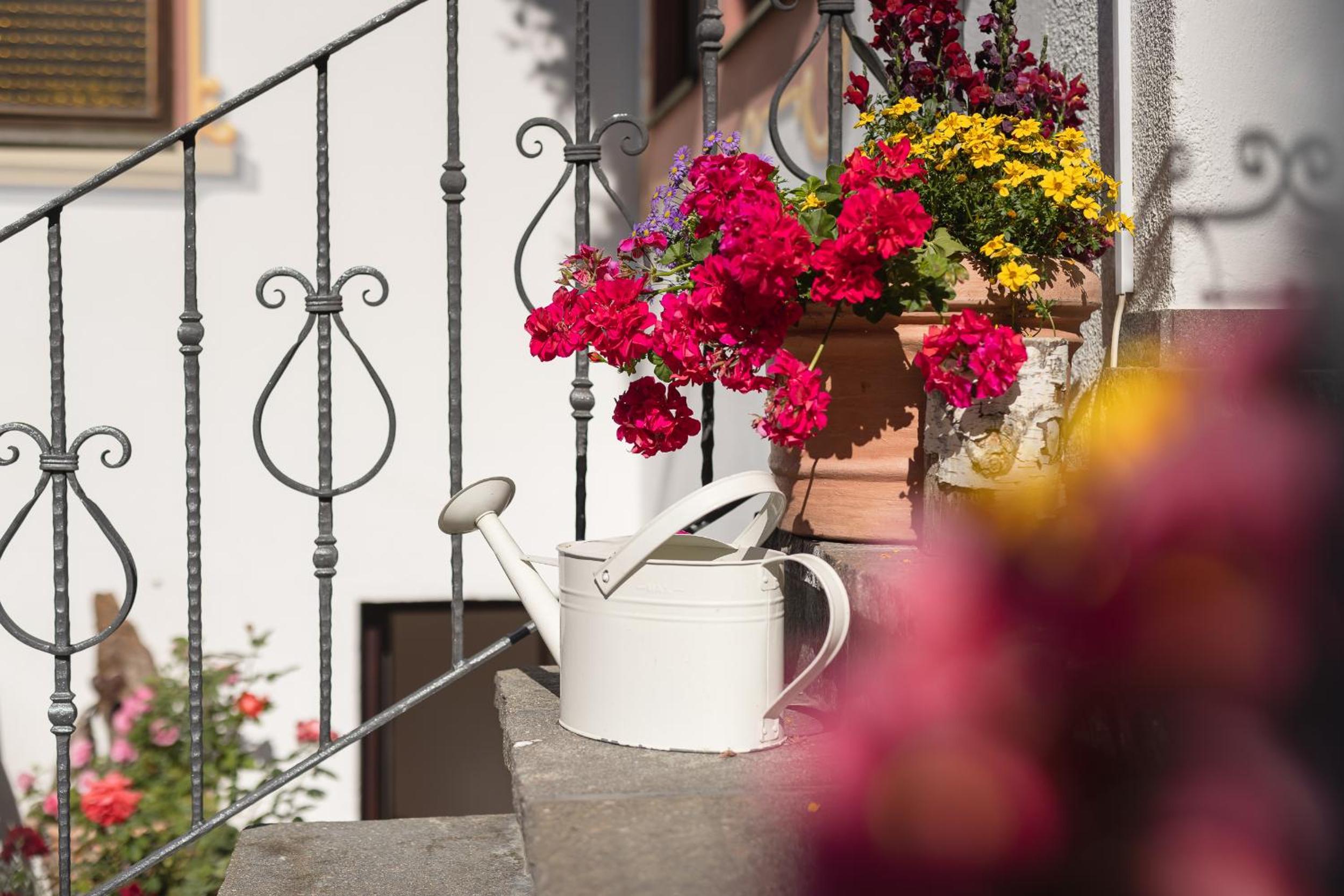 Pension Gulla - Ferienhaus Appartements B&B