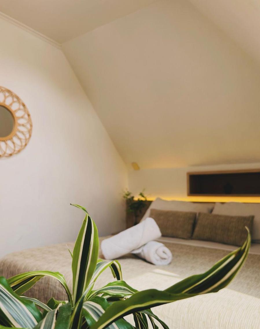 Yogi hostels