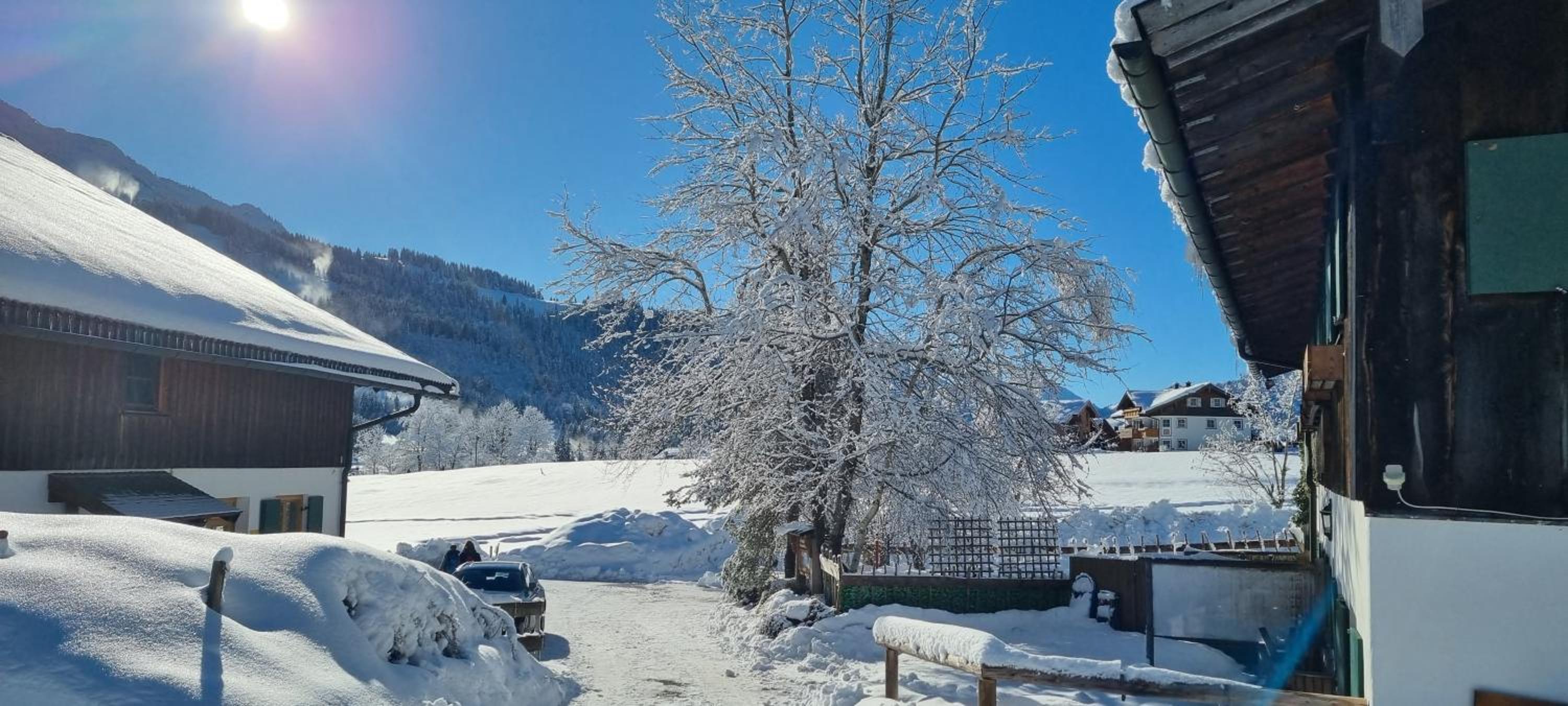 Haflingerhof - Oberjoch