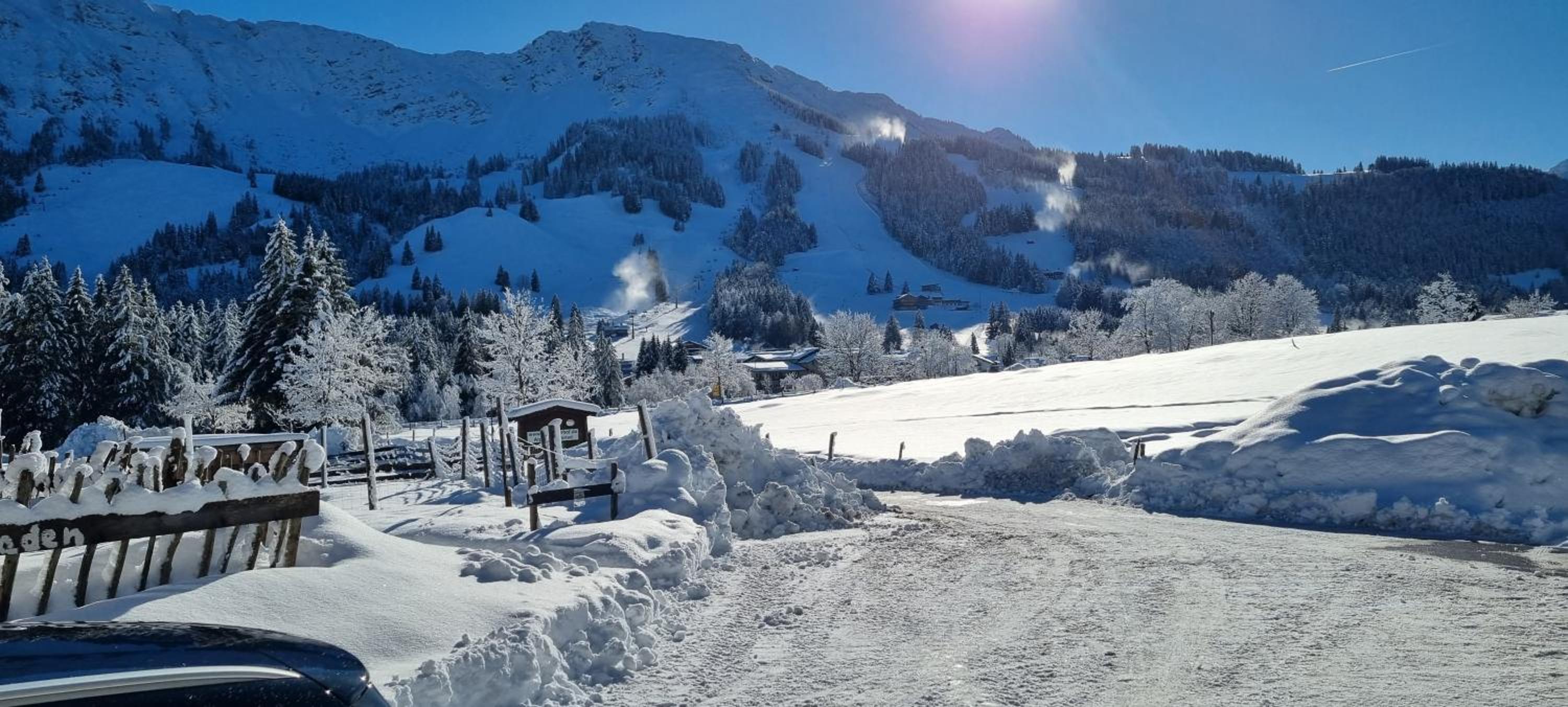 Haflingerhof - Oberjoch