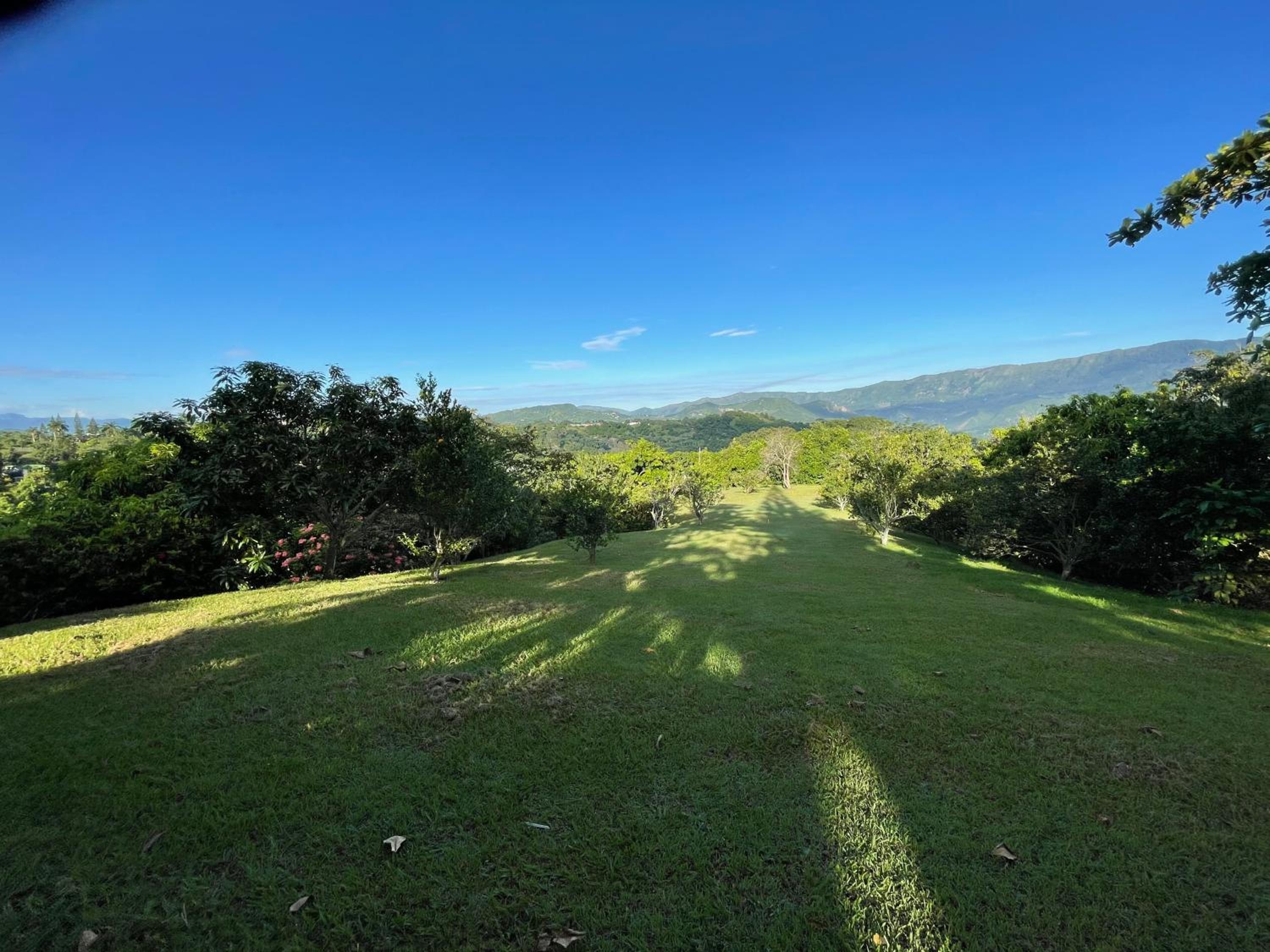 ANAPOIMA CAMPESTRE V. TOSCANA