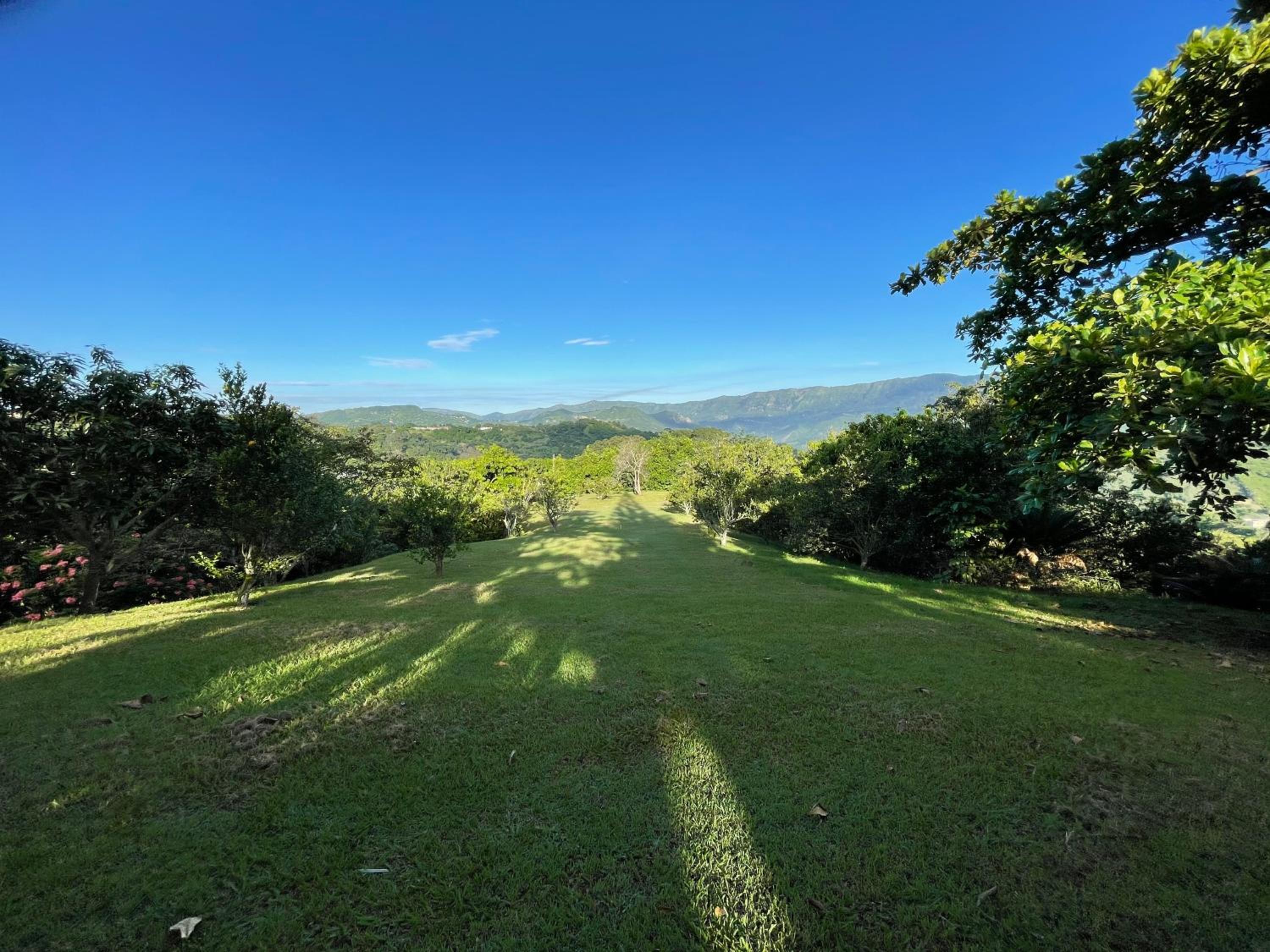 ANAPOIMA CAMPESTRE V. TOSCANA