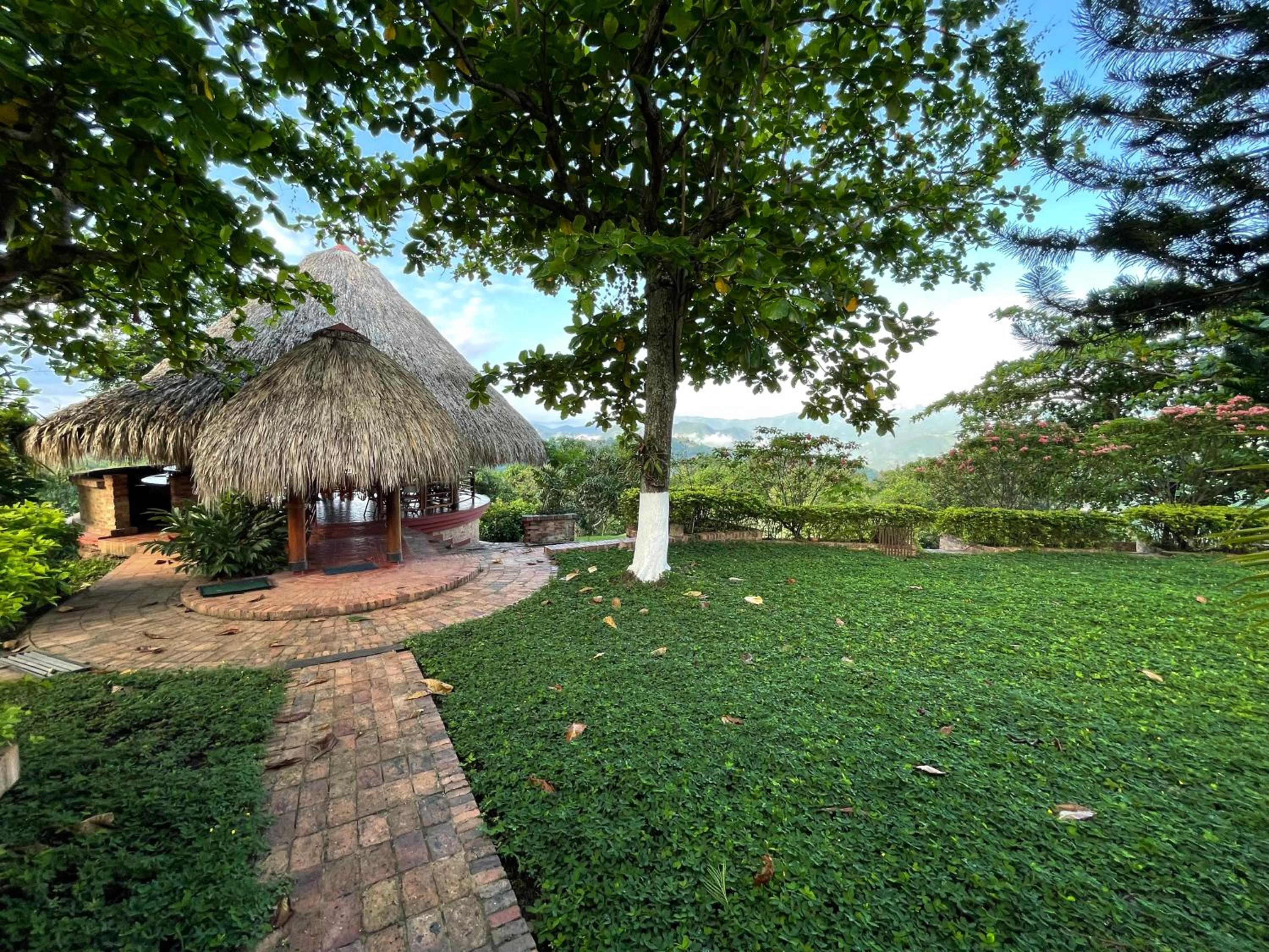 ANAPOIMA CAMPESTRE V. TOSCANA
