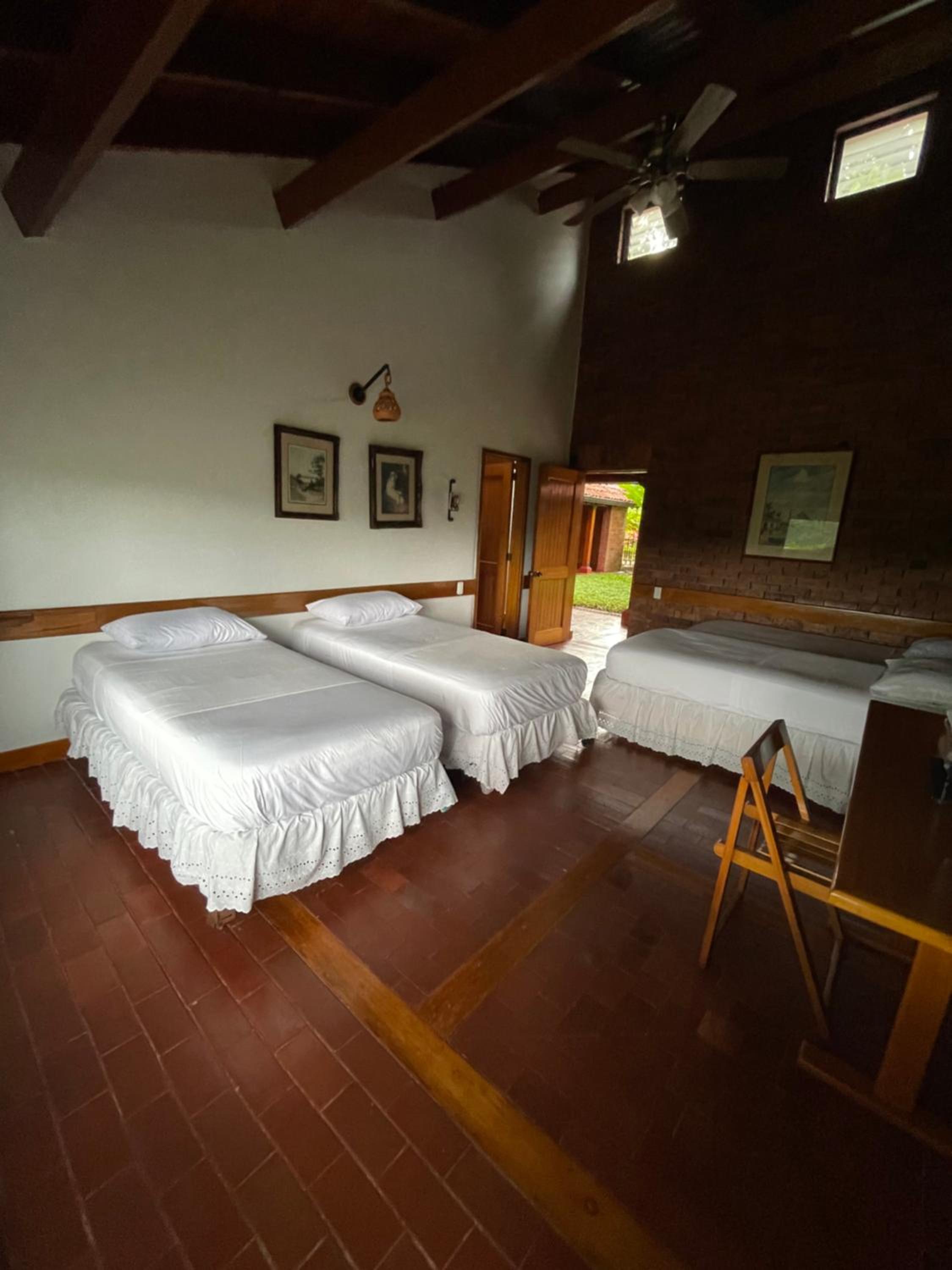 ANAPOIMA CAMPESTRE V. TOSCANA