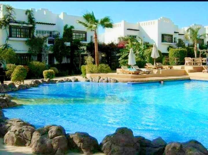 Shared room with the owner only at the Delta Hotel and Resort Sharm El Sheikh
