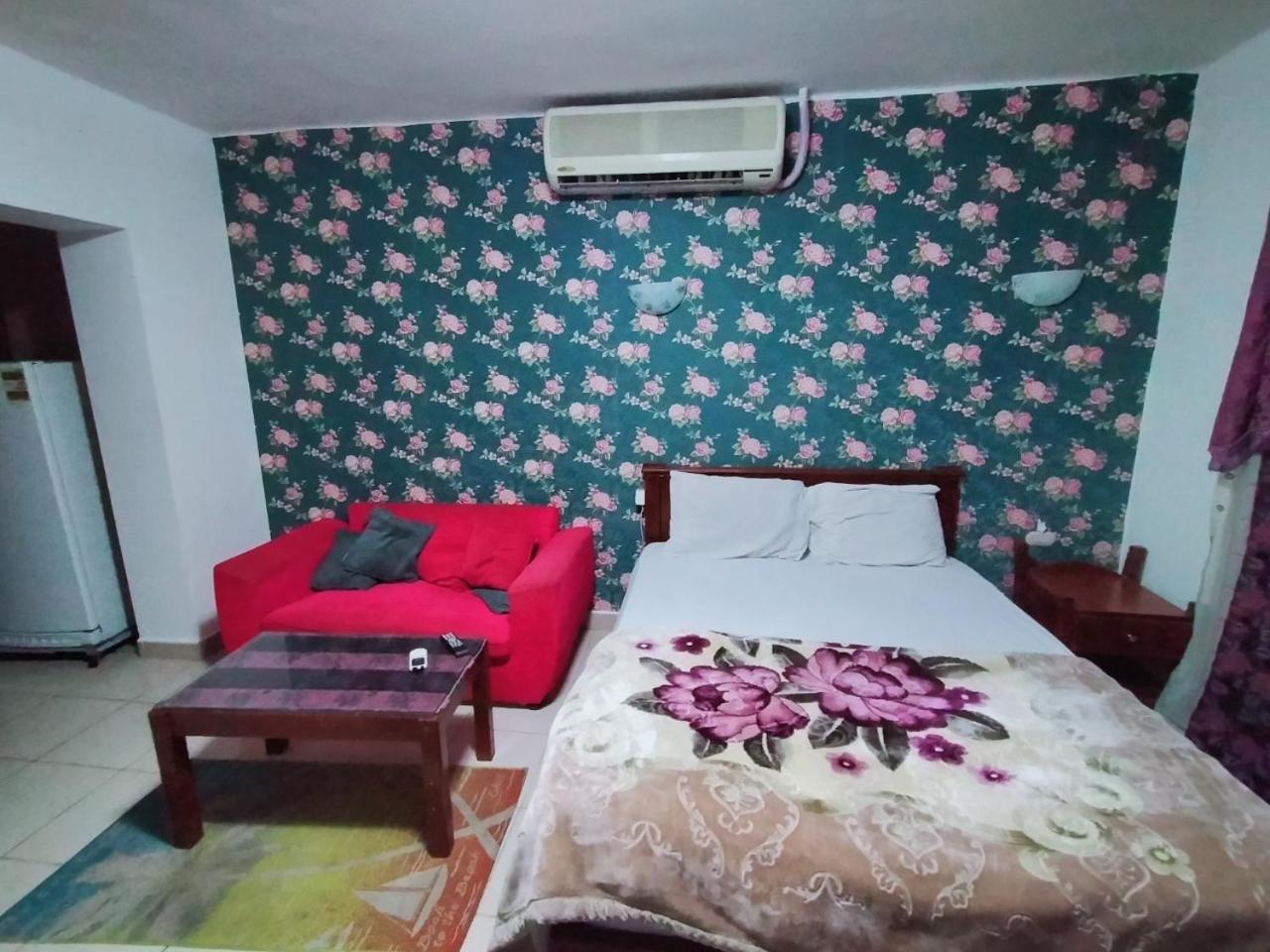 Shared room with the owner only at the Delta Hotel and Resort Sharm El Sheikh