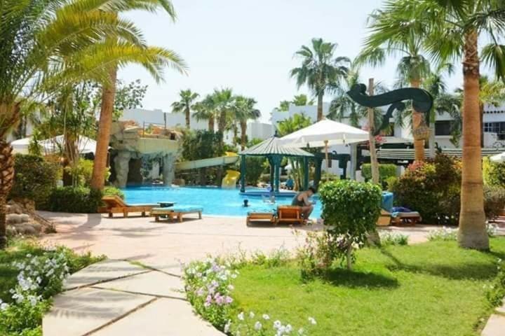 Shared room with the owner only at the Delta Hotel and Resort Sharm El Sheikh