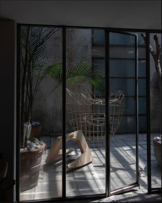 Roma Amor — Mexico City