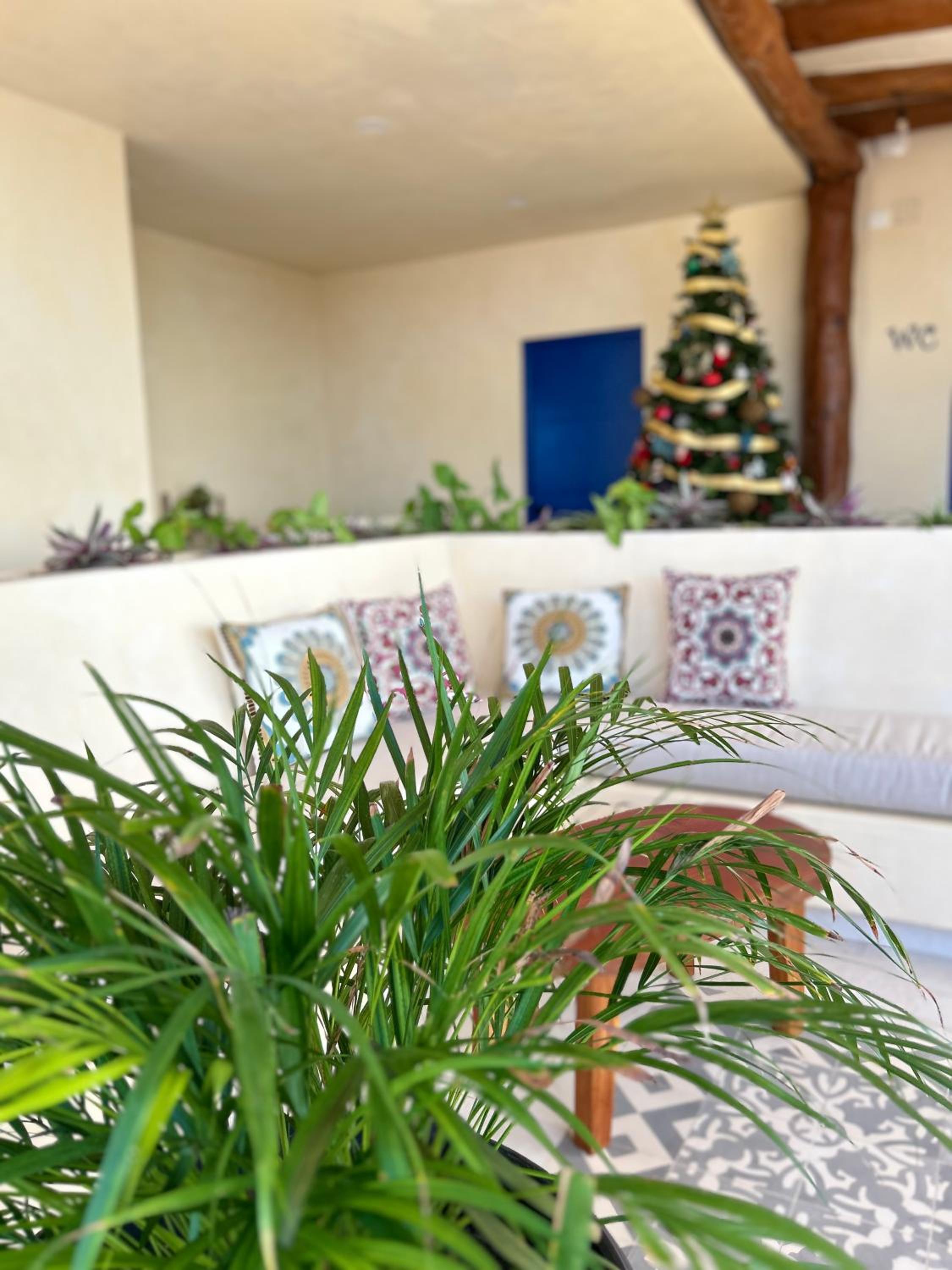 Sunsteps casa holbox