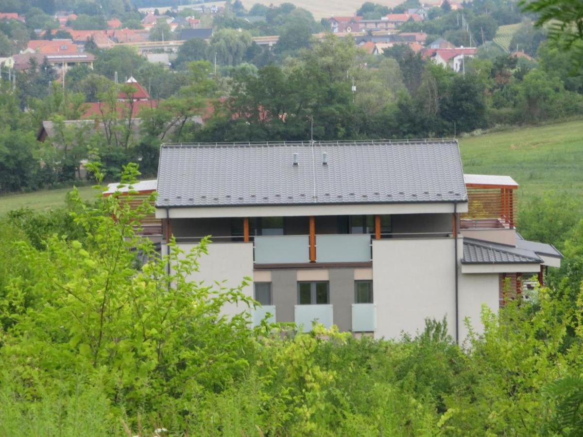 Apartmán Bohemia view 5