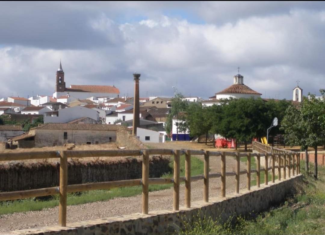 Photo 14