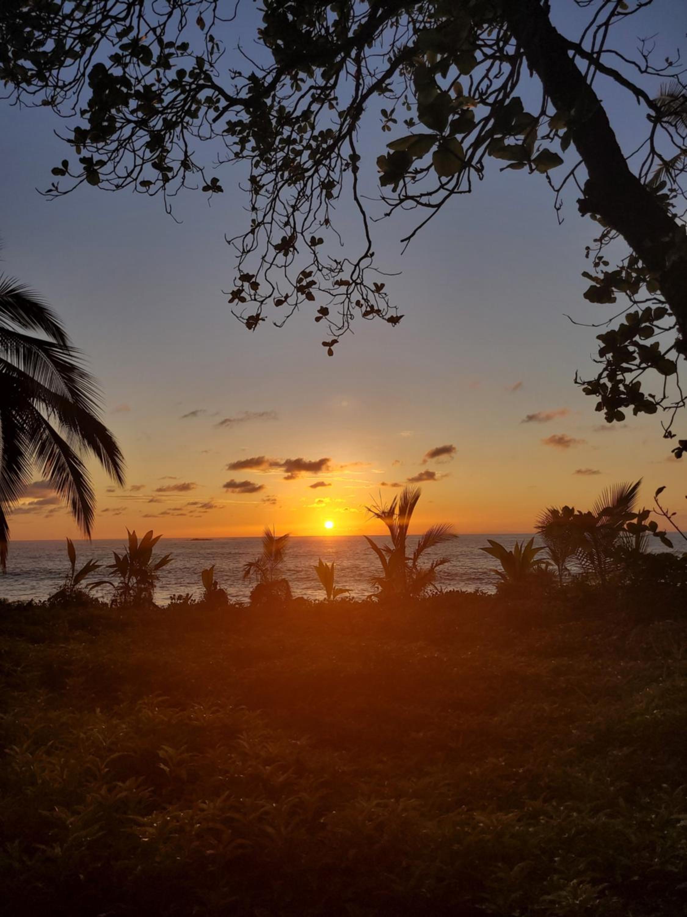 Life for Life Hostel Lodge Drake Bay Home of Sea Turtle Marine Conservation Project Osa Peninsula near San Josecito Beach view 5