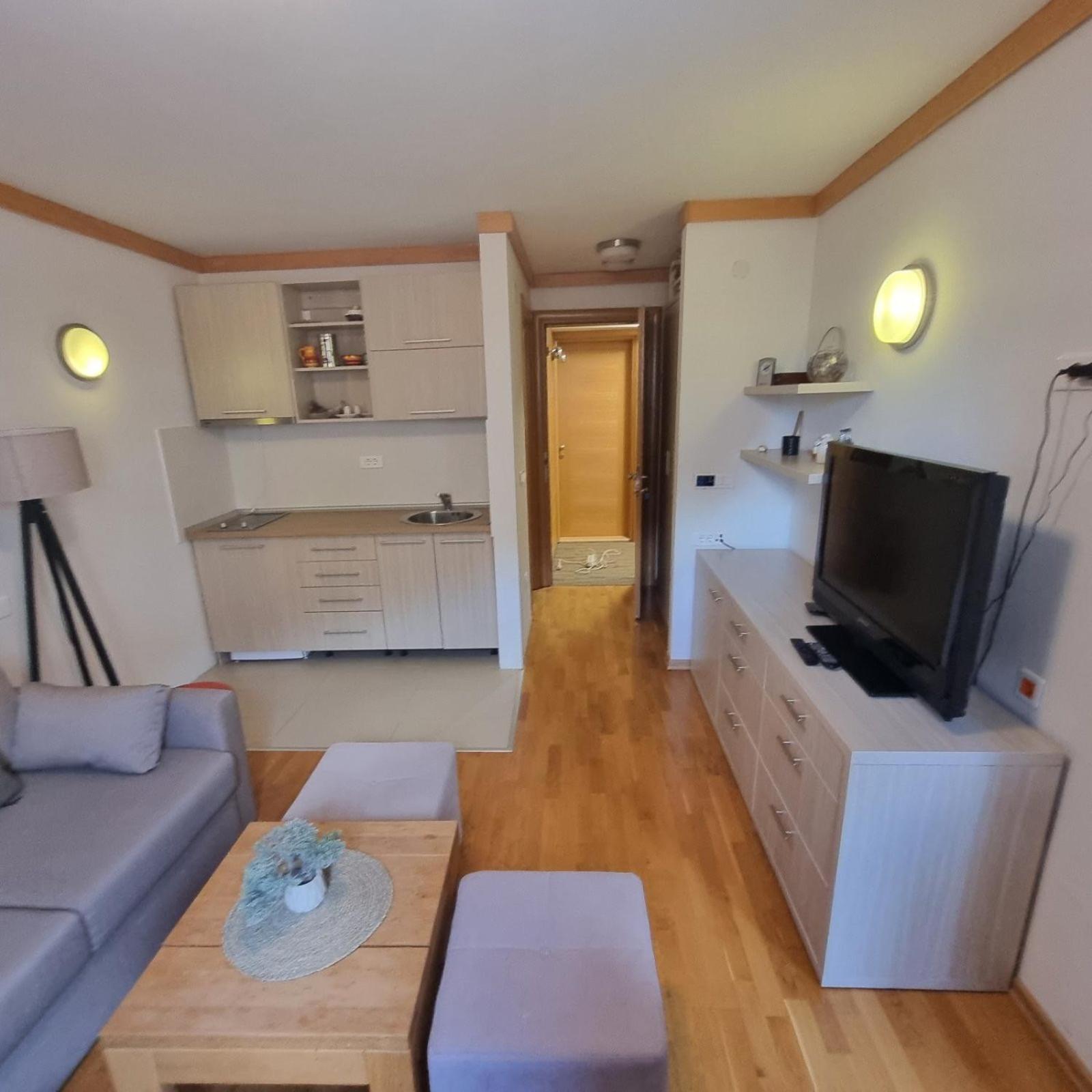 Apartment U345 - Aparthotel Vučko Jahorina - private host