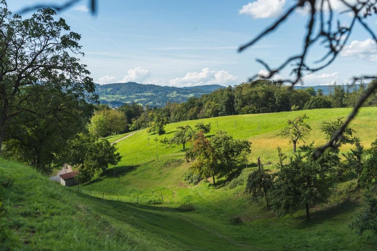 Grünewaldhof in Rimbach im Odenwald
