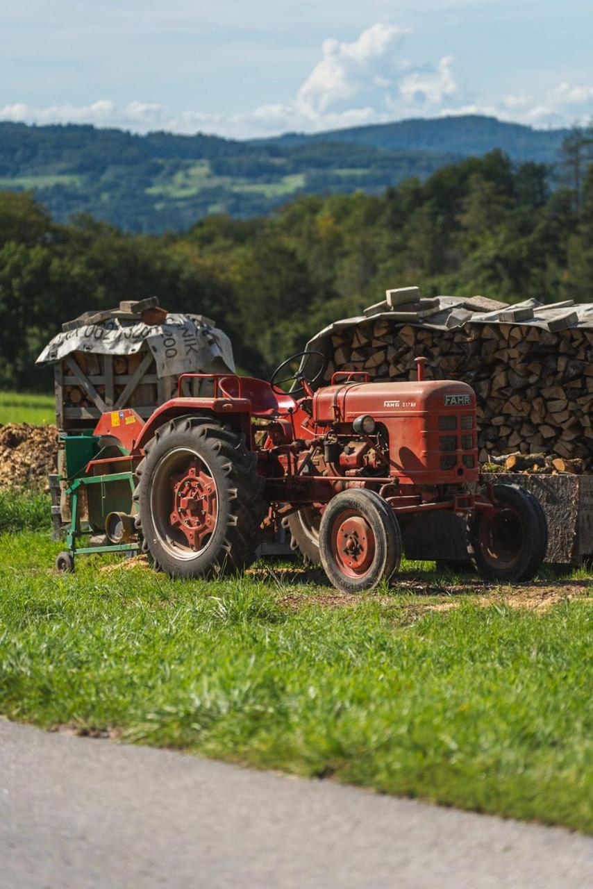 Grünewaldhof in Rimbach im Odenwald