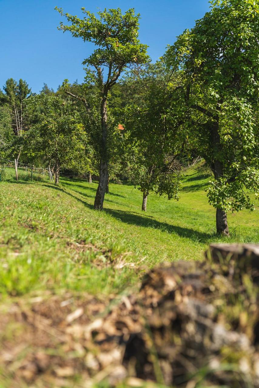 Grünewaldhof in Rimbach im Odenwald