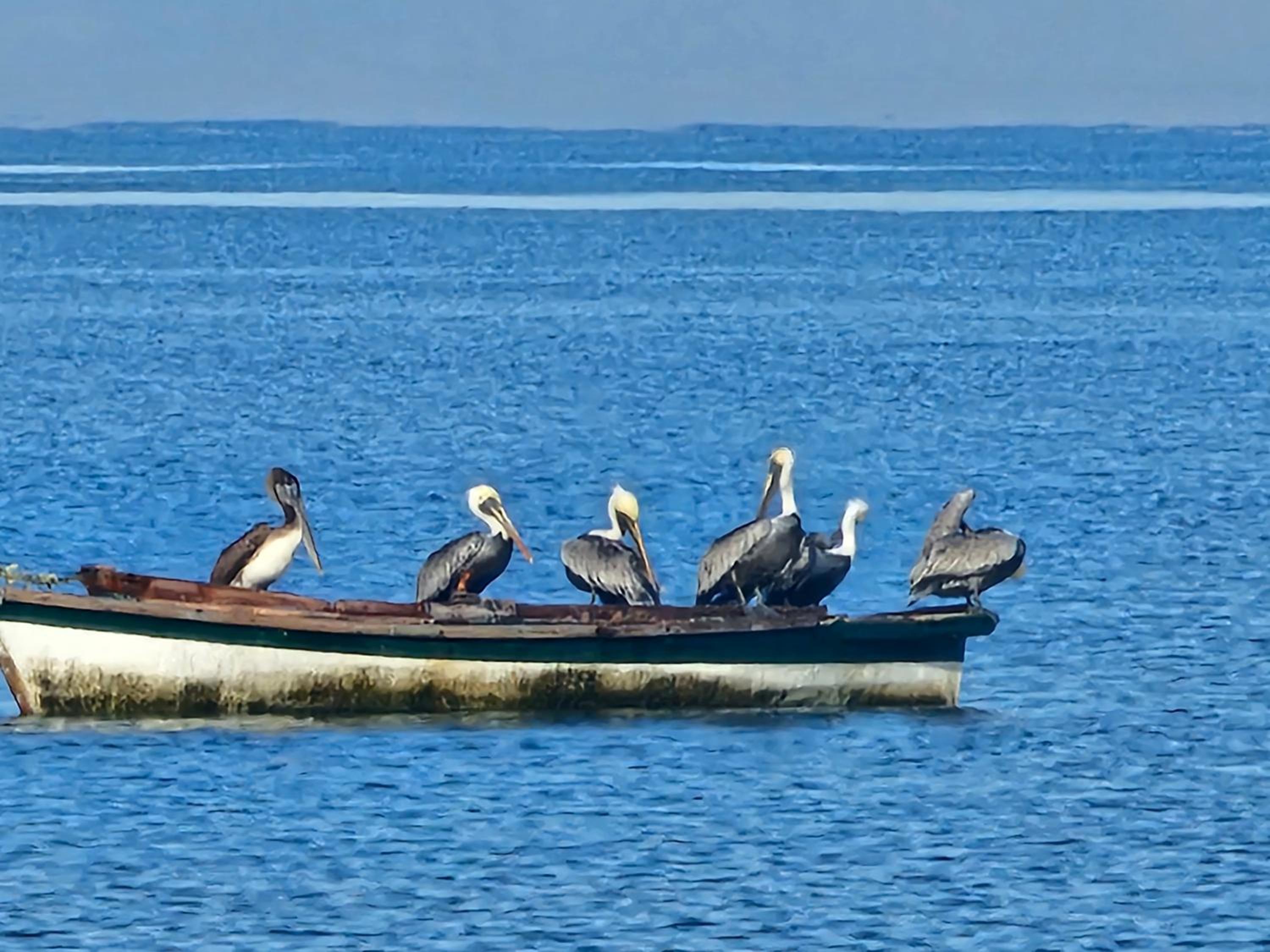 habitación frente al mar