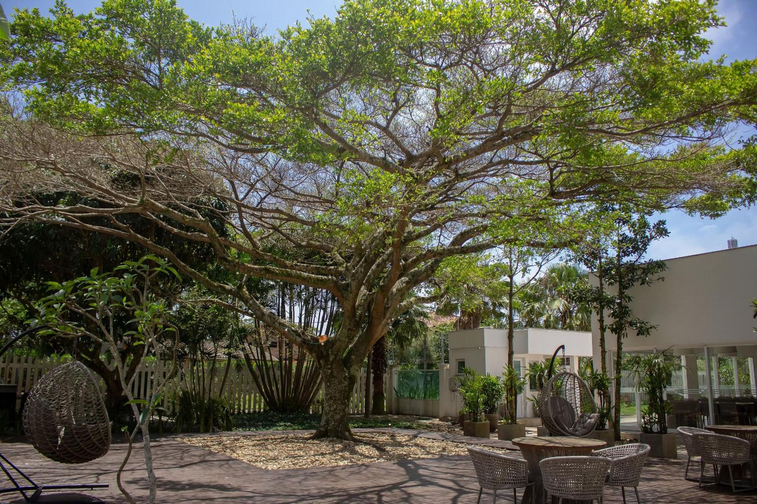 Atlântida Green Square - 401B