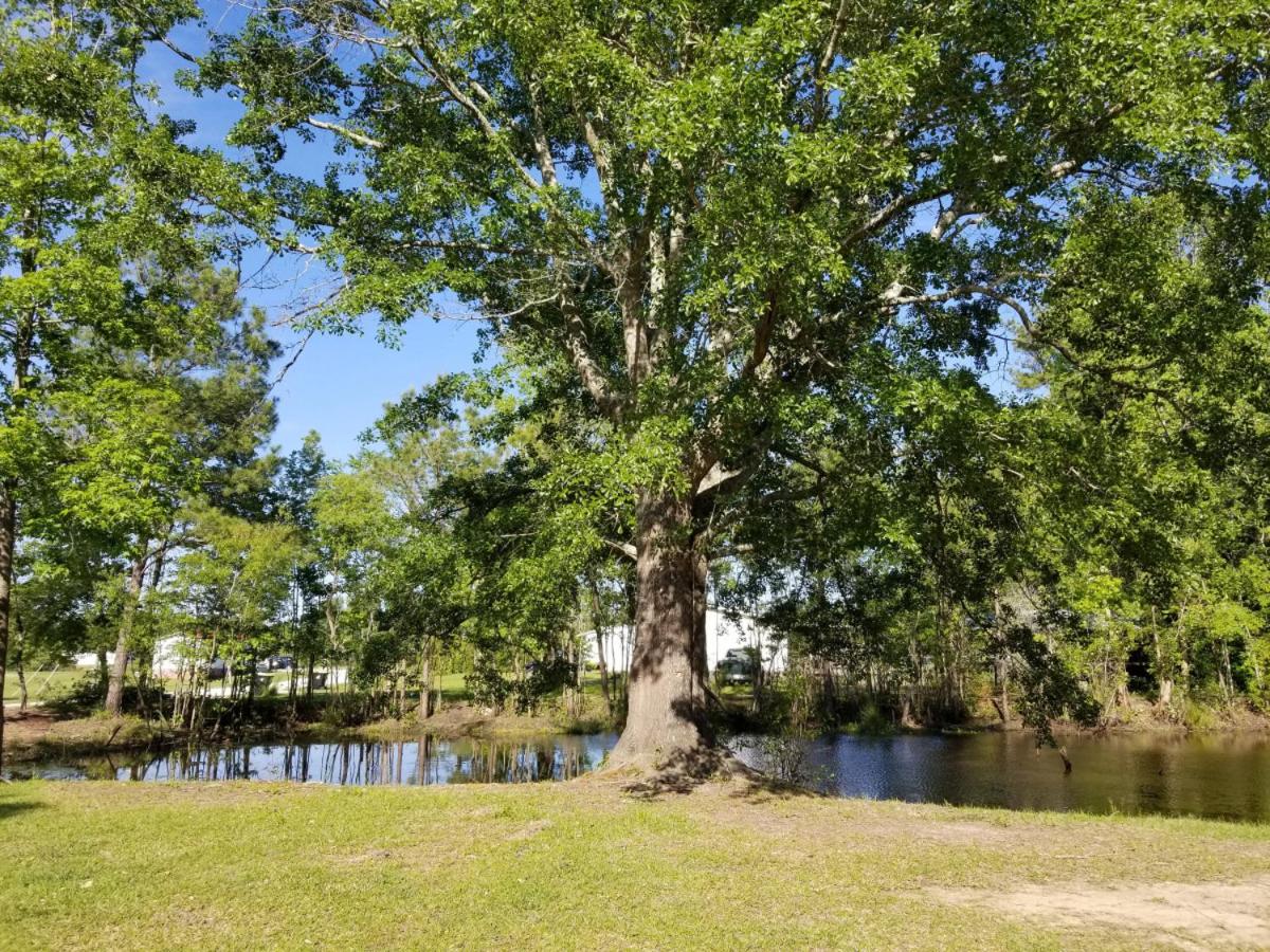 Jacksonville Ranch with private Hottub and Pool, stocked Pond, Bike and Hiking trails view 5