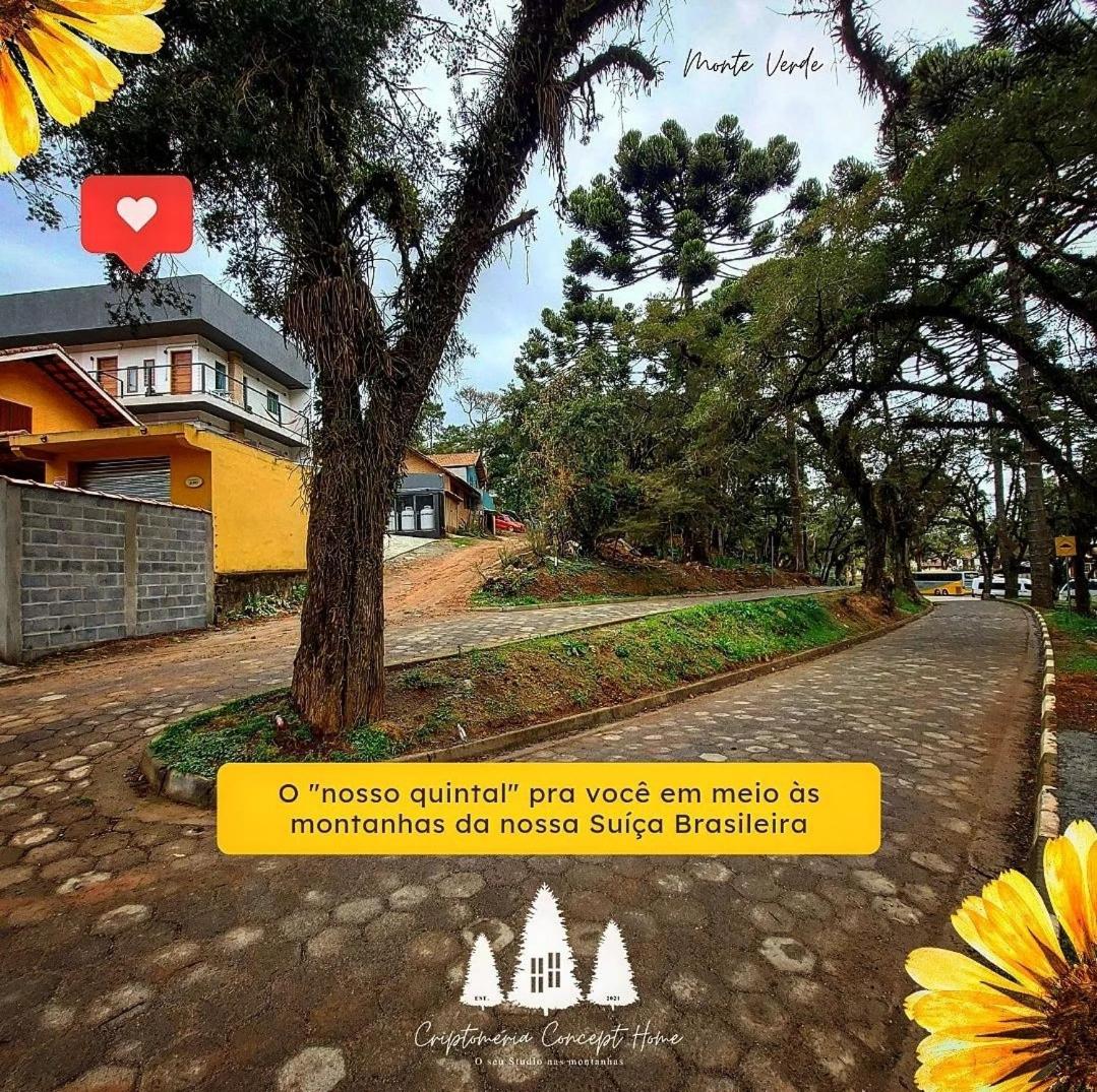 Criptoméria Concept Home - O seu Studio nas Montanhas.