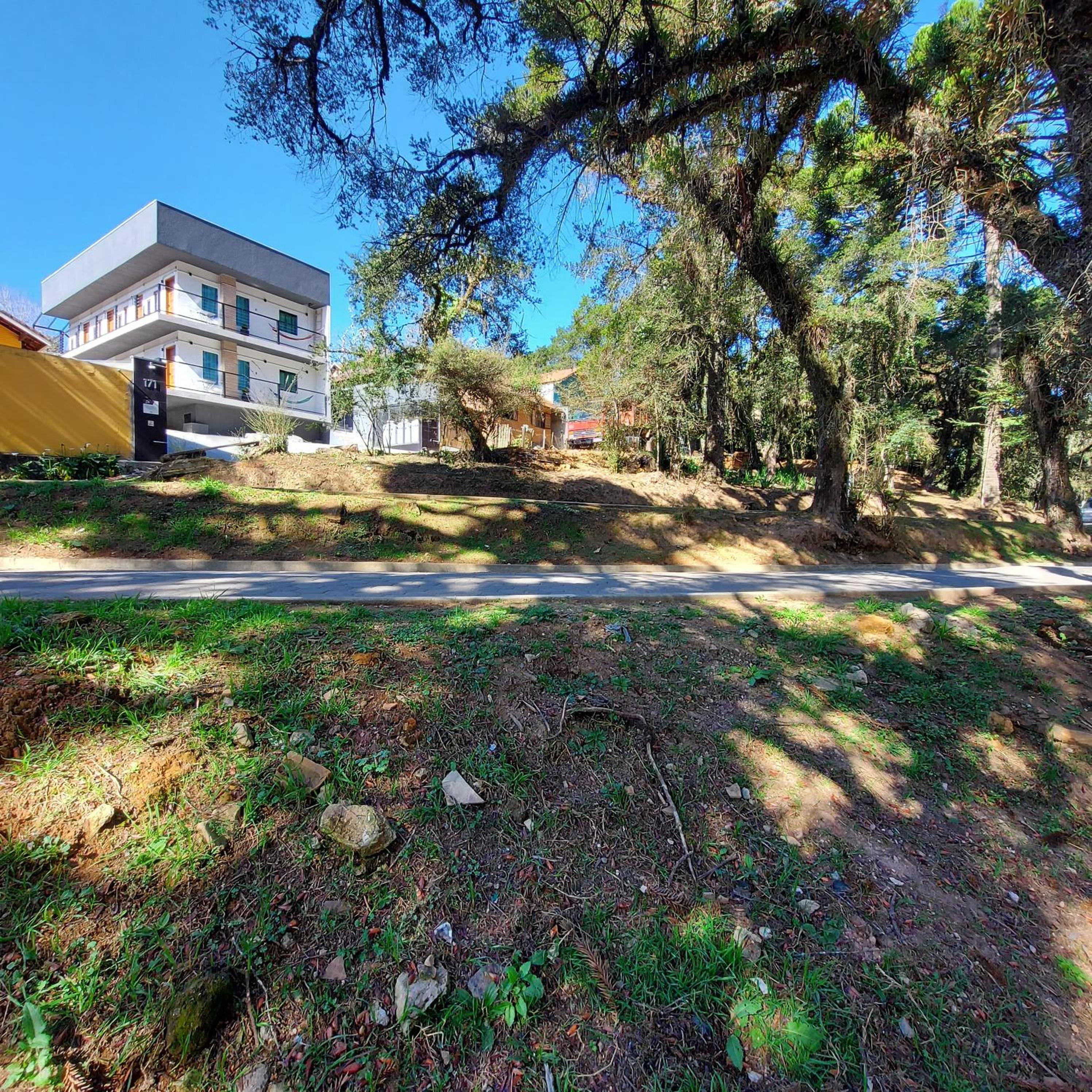 Criptoméria Concept Home - O seu Studio nas Montanhas.