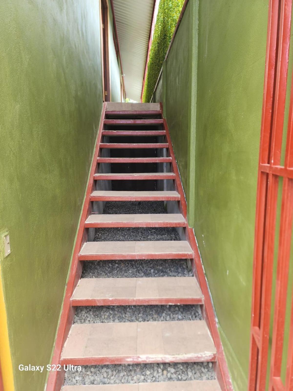 Peluza's place