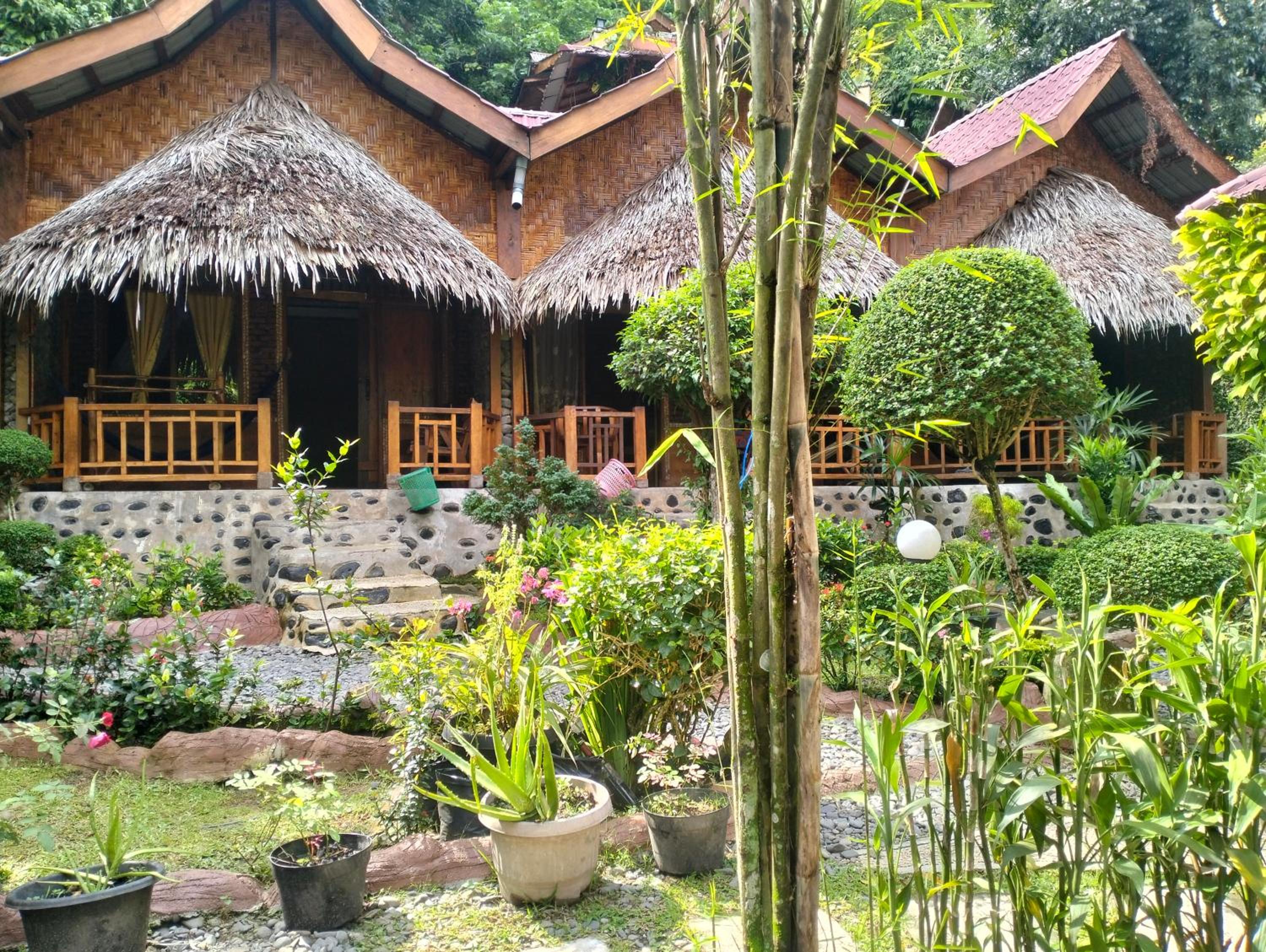 Junia Guesthouse Bukit Lawang view 4