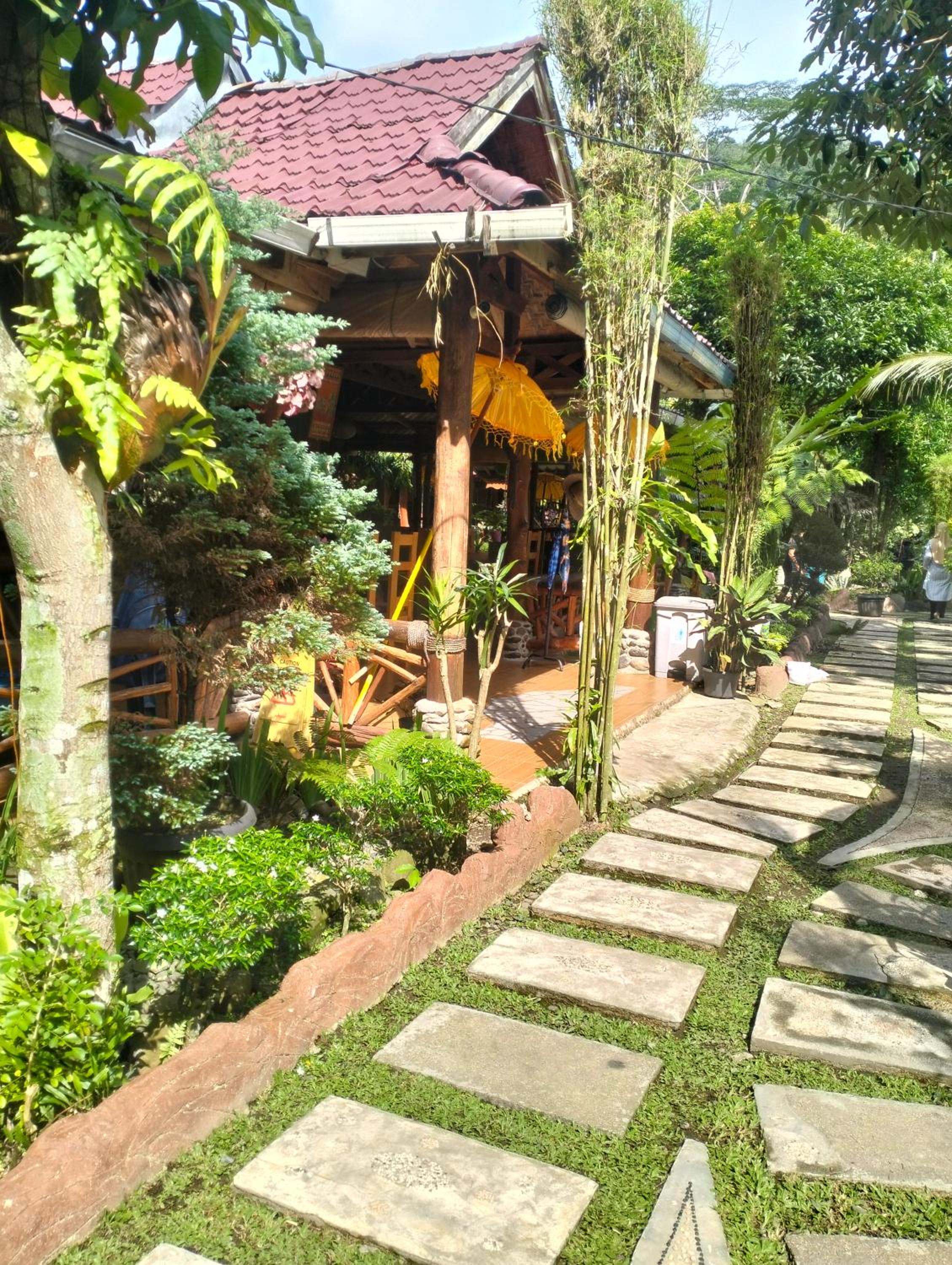 Junia Guesthouse Bukit Lawang view 2