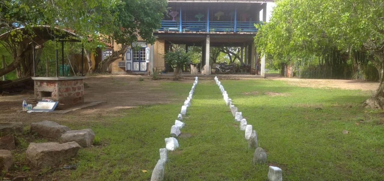Cozye Yala Hostel view 5