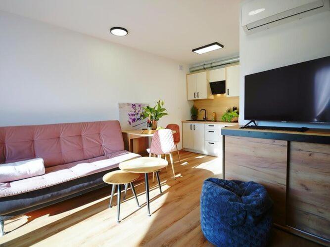 Comfortable and spacious holiday home, Mielenko