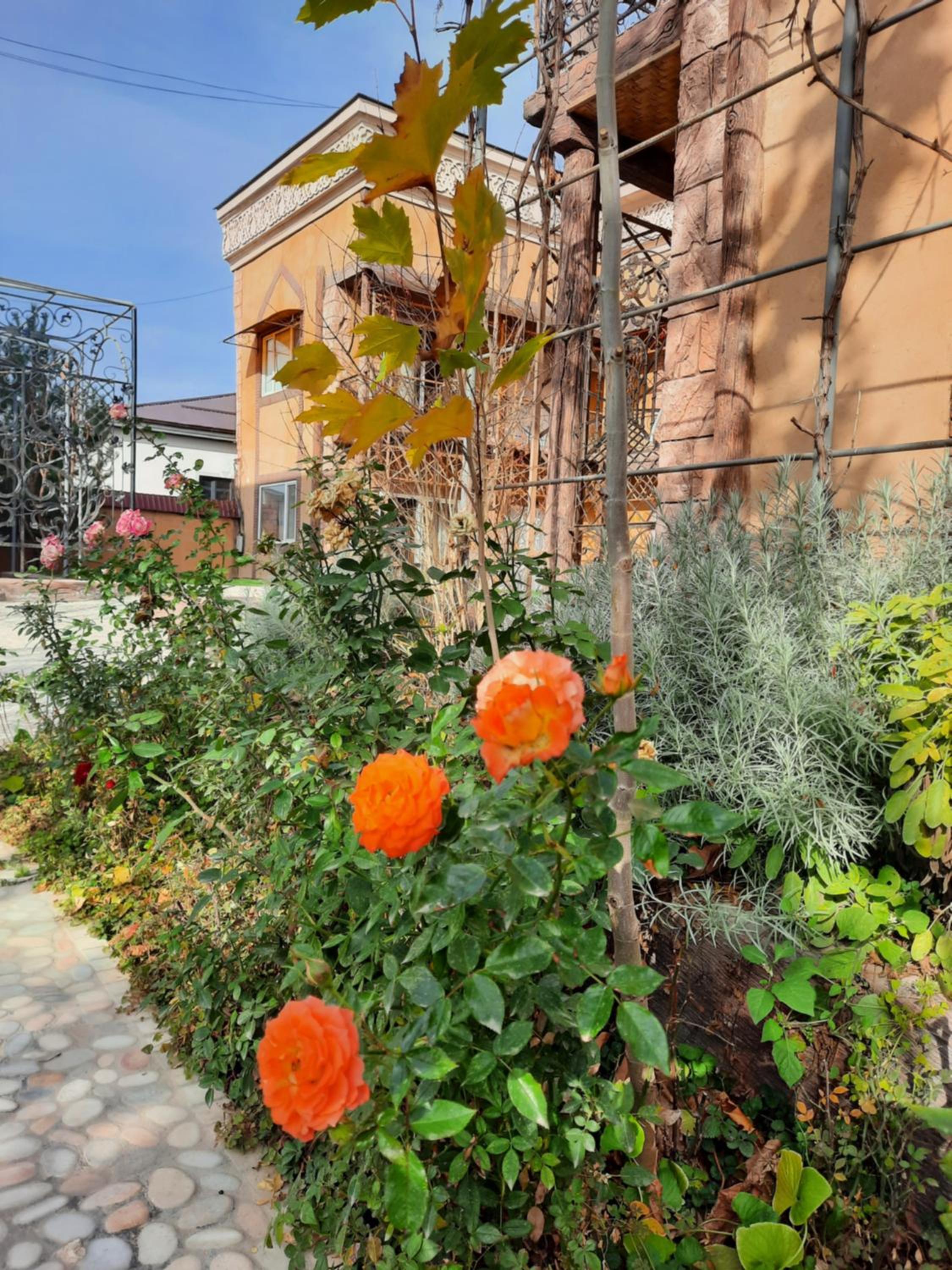 Photo 18