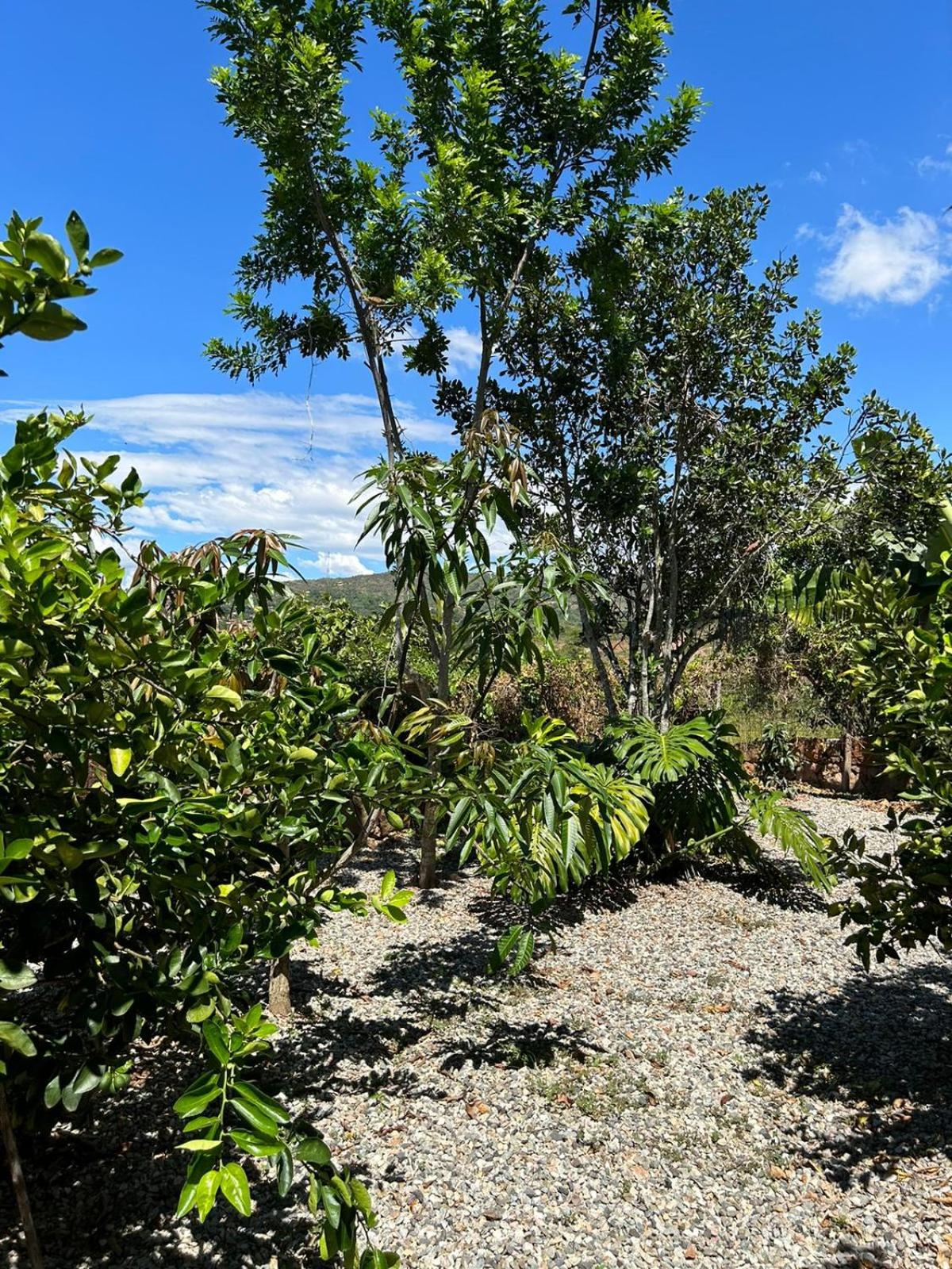 Casa Castañeto Barichara