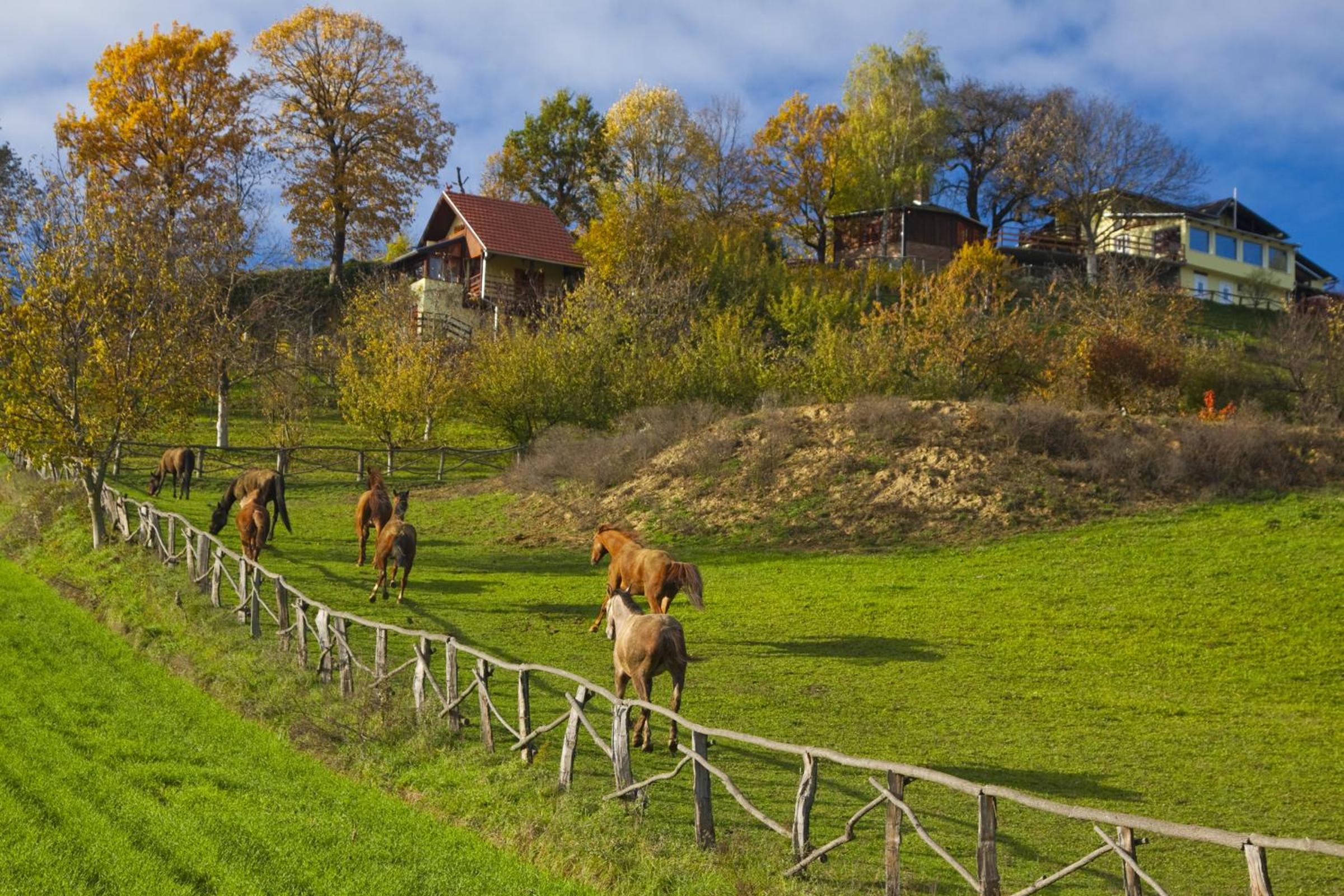 Agroturizam Na Malenom brijegu BAKINA VIKENDICA view 4