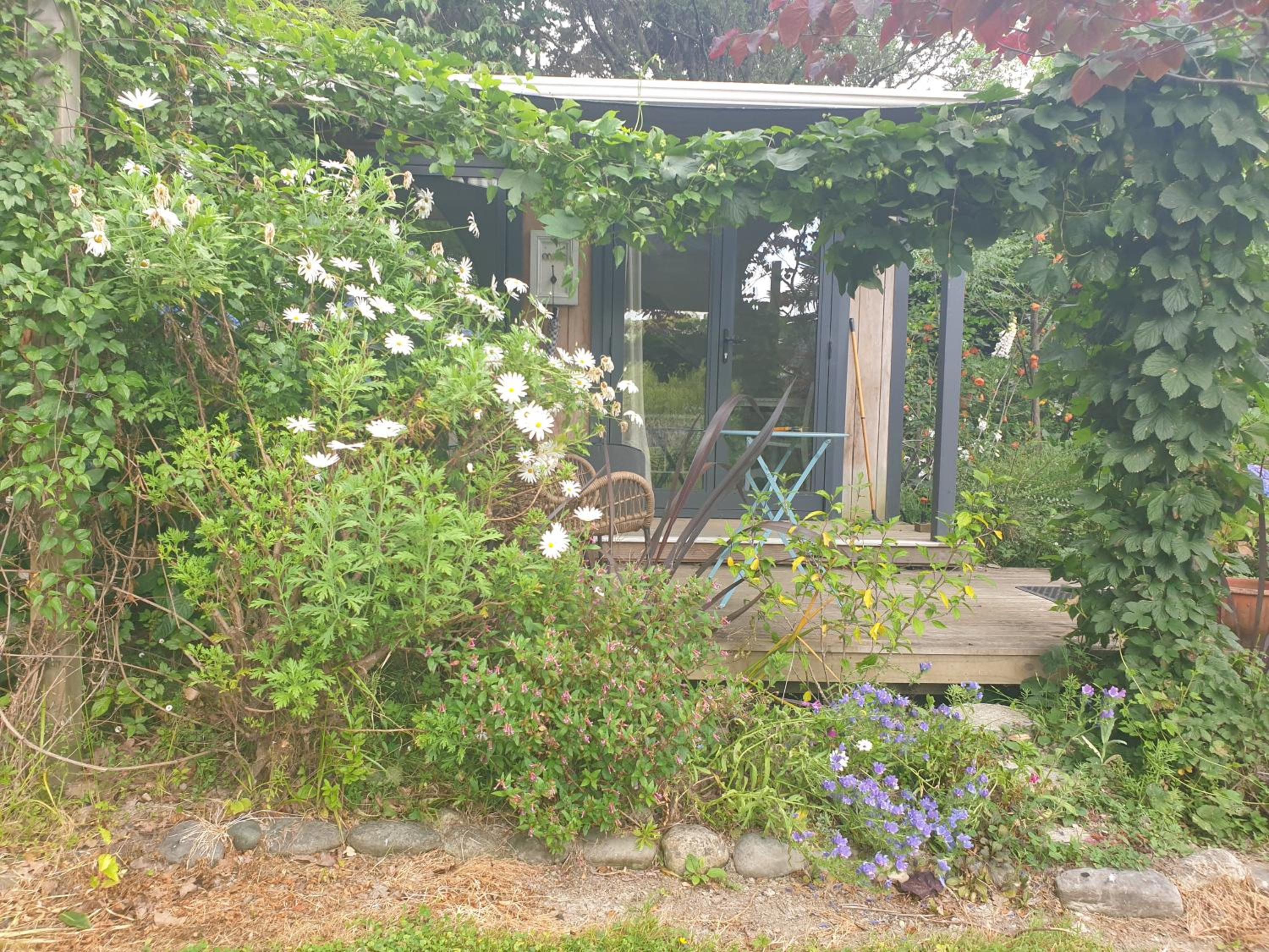 Photo 11