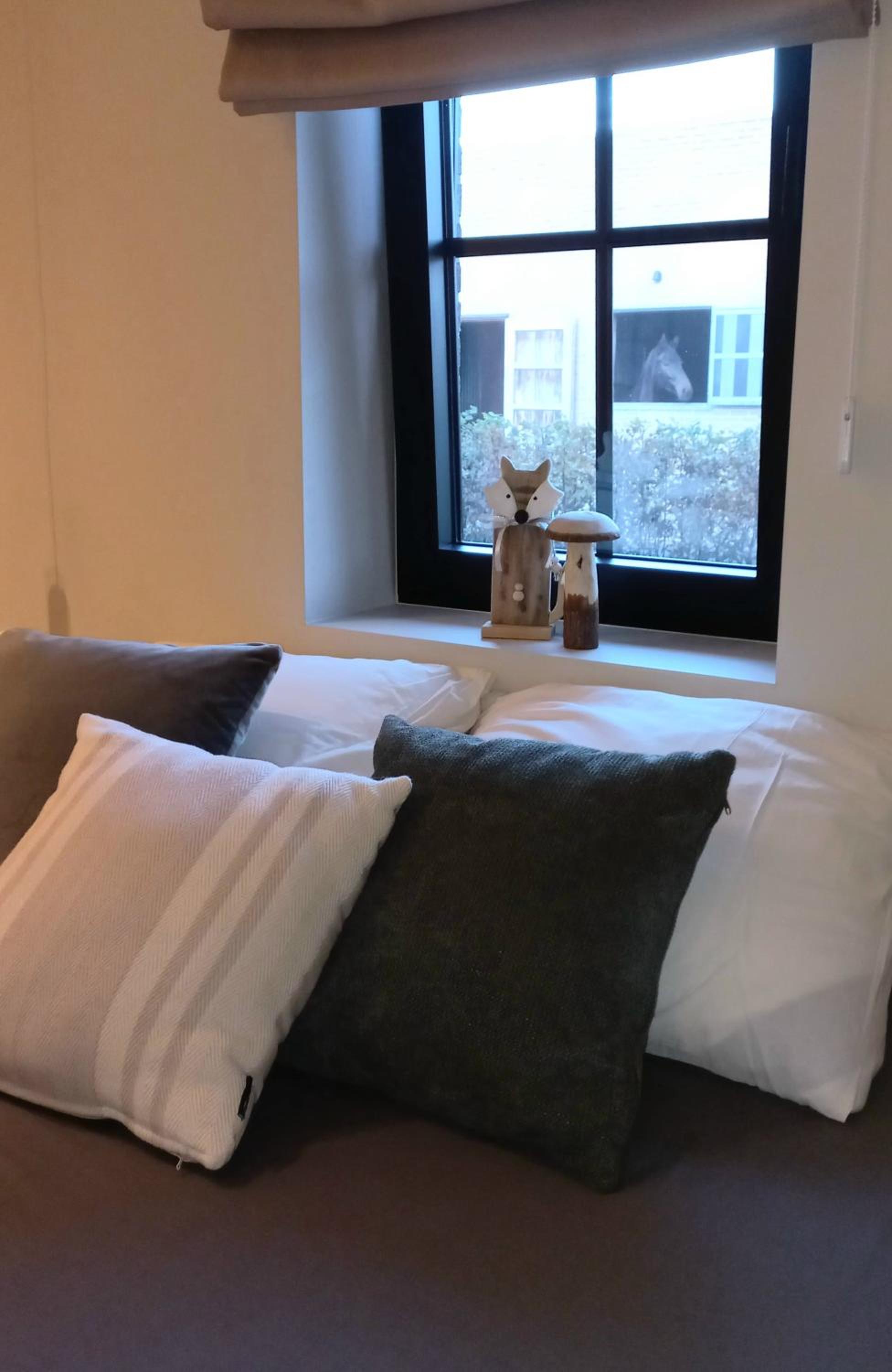 'De Zandrug' vakantiehoeve - B&B