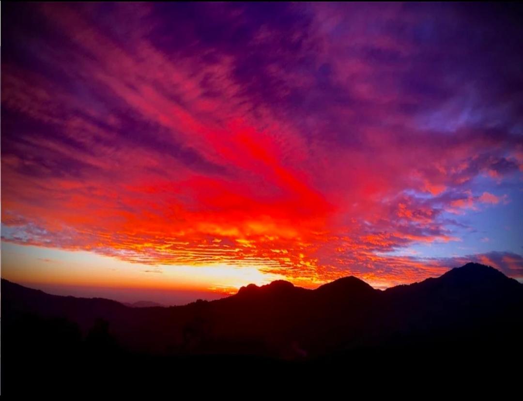 Hills & Heaven Resort view 5