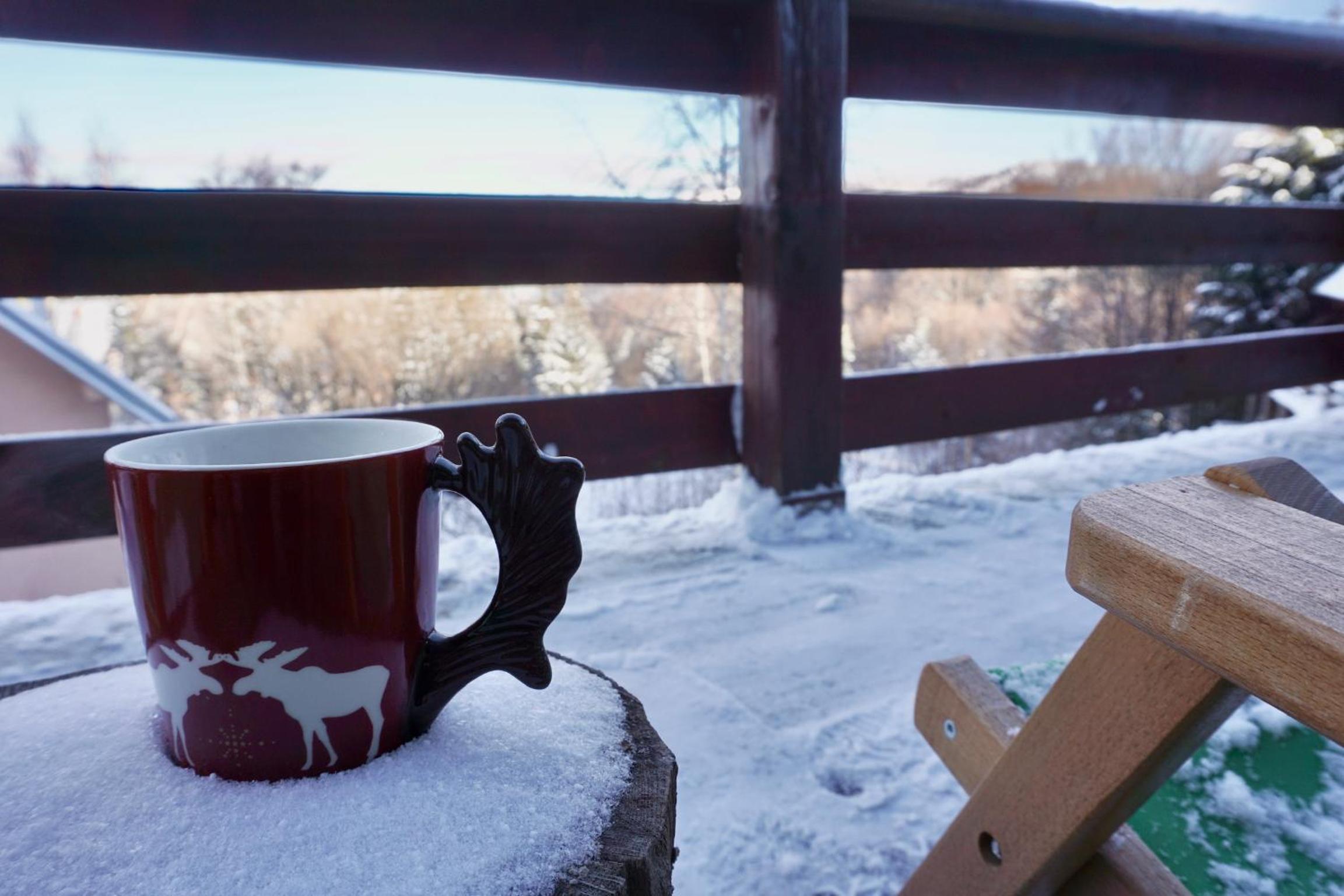 Cozy chalet Montana view 4
