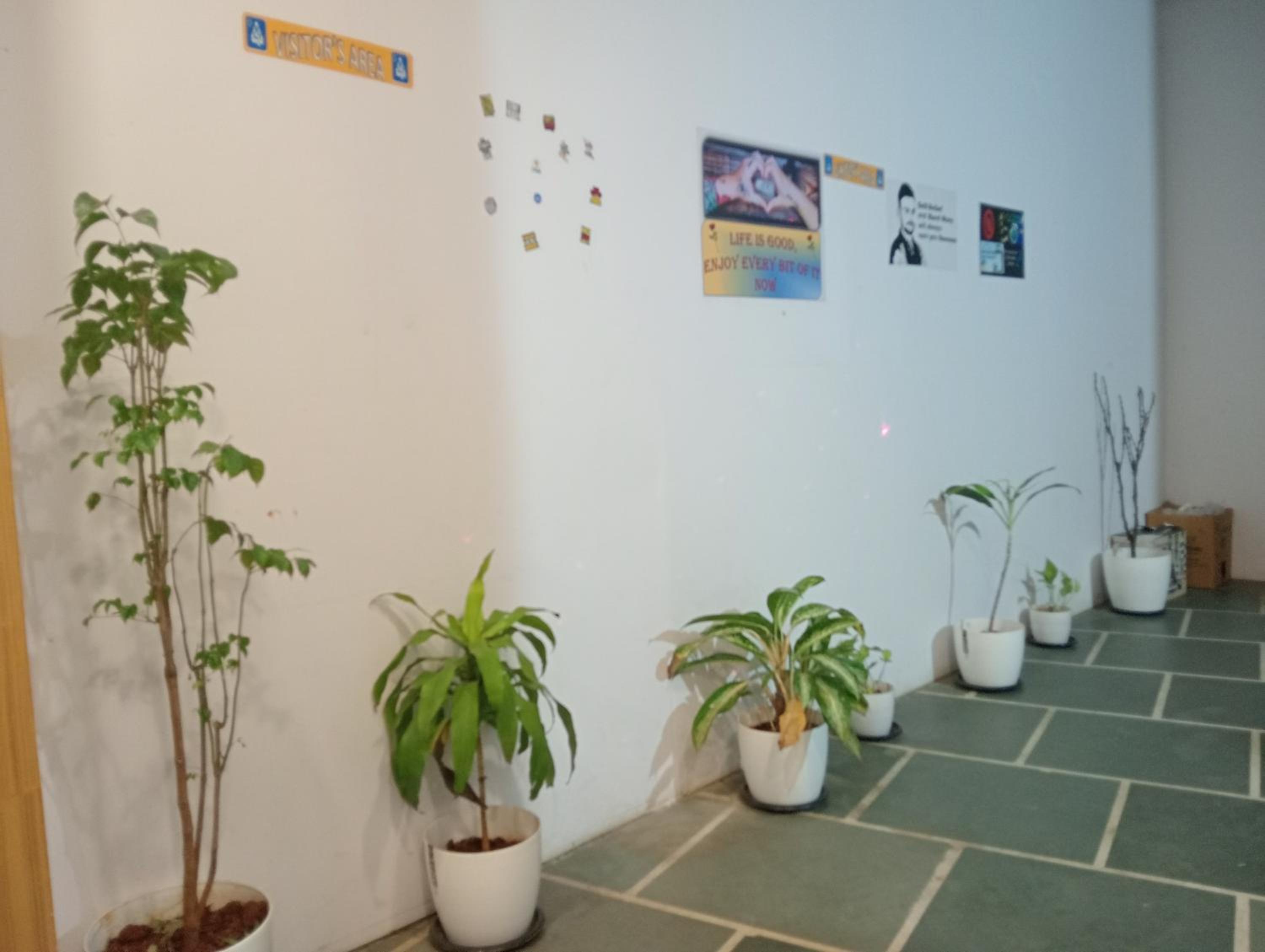 Photo 17