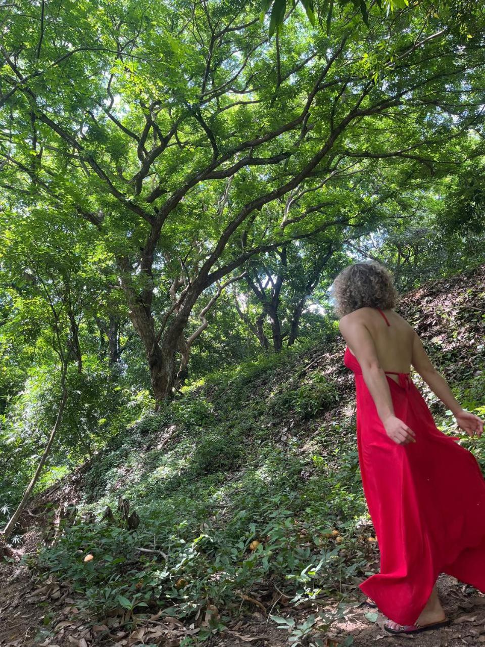 Santa Marta Vacations - Cabana familiar en AFRA Reserva Natural - Property Image 11