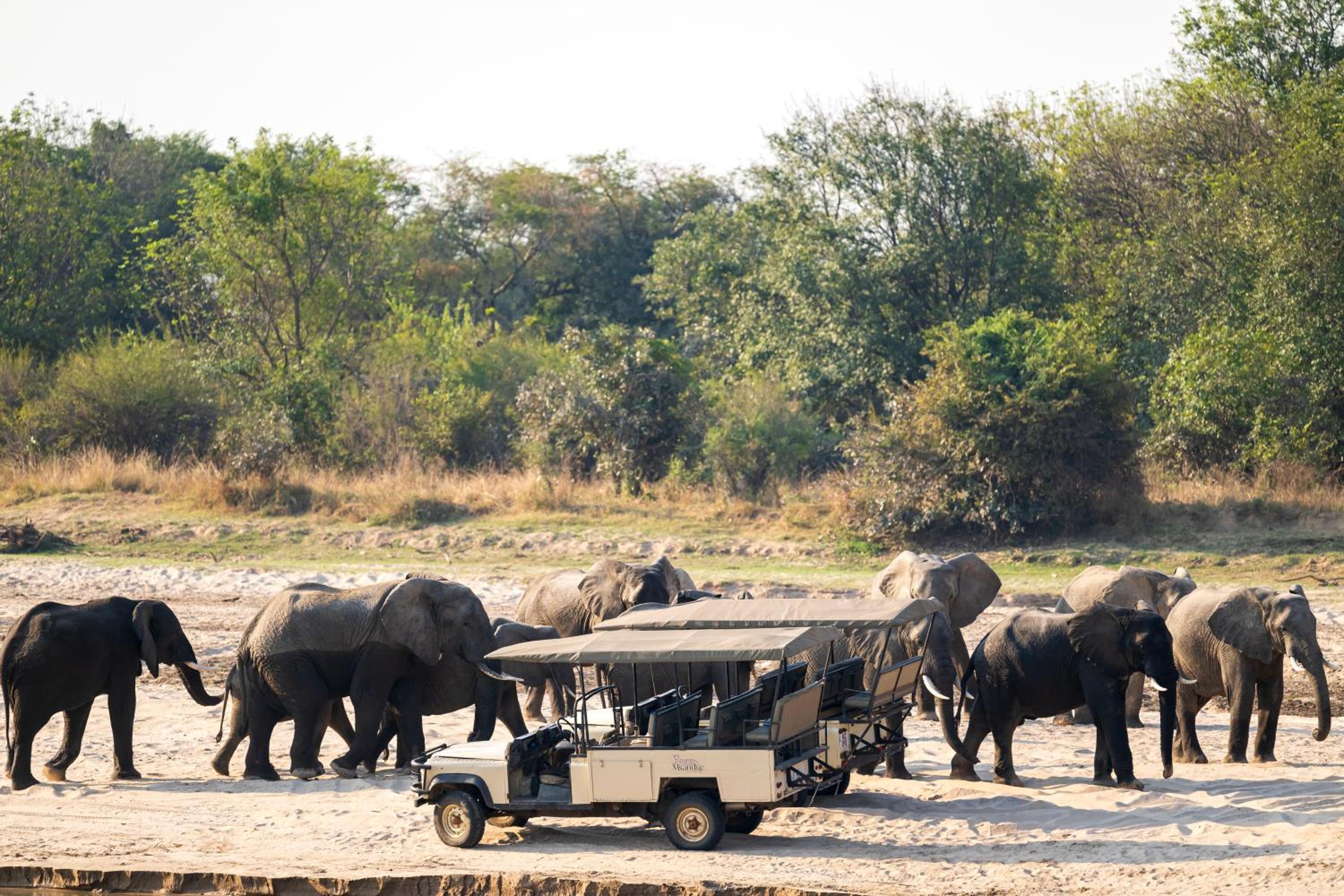 Msandile River Lodge