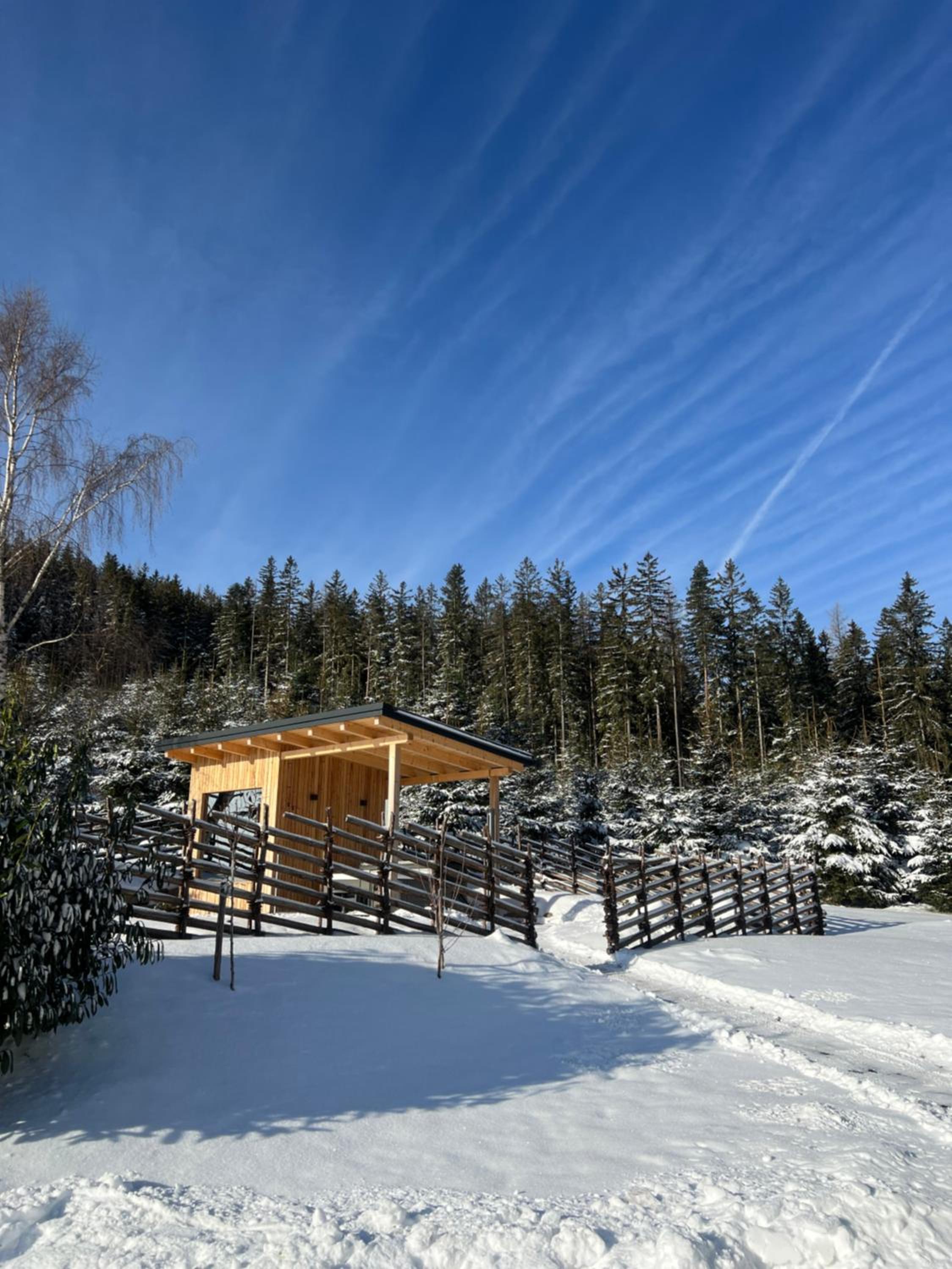 Waldheimatblick