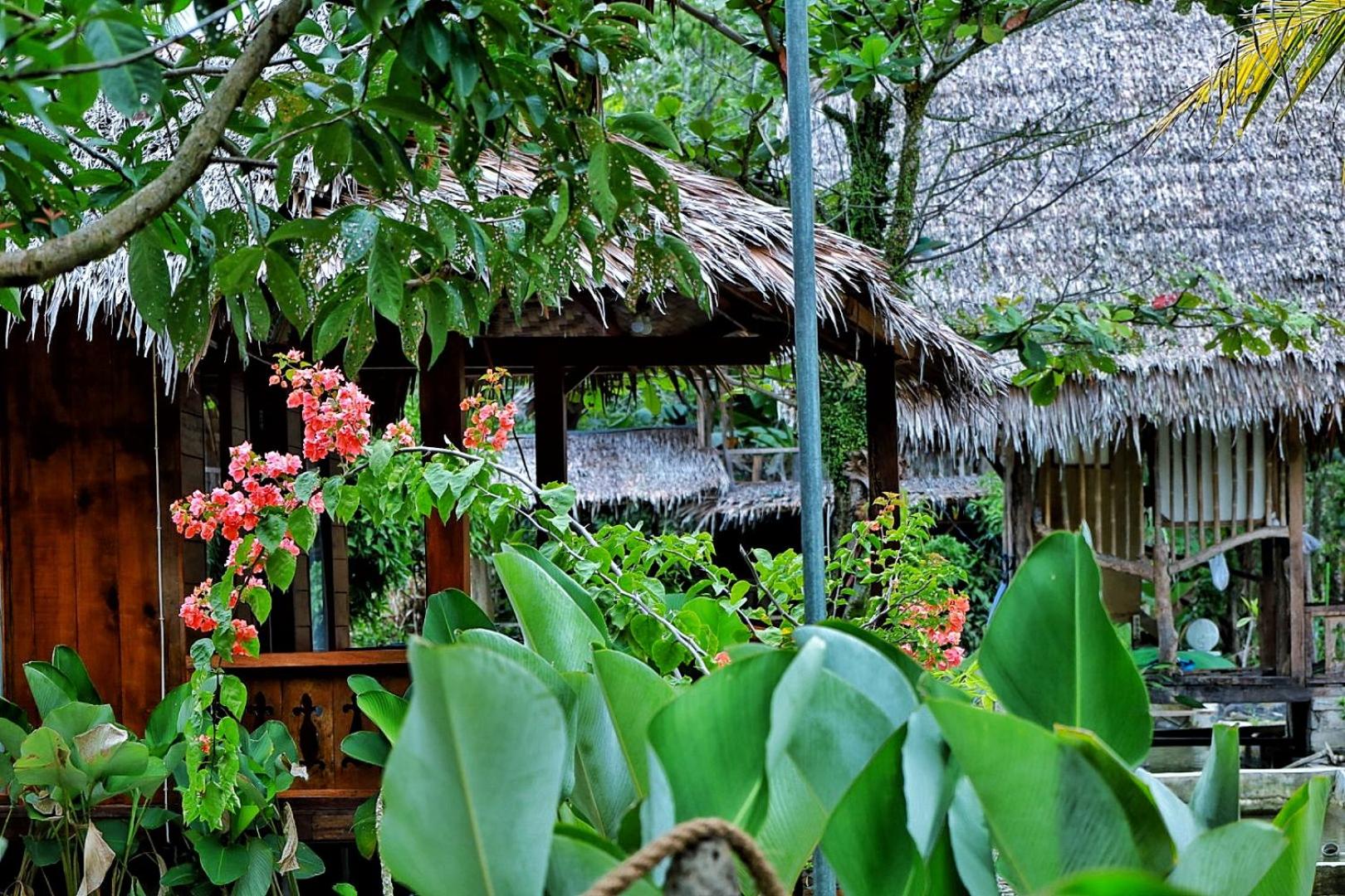 Tropical Jungle lodge & Jungle trekking