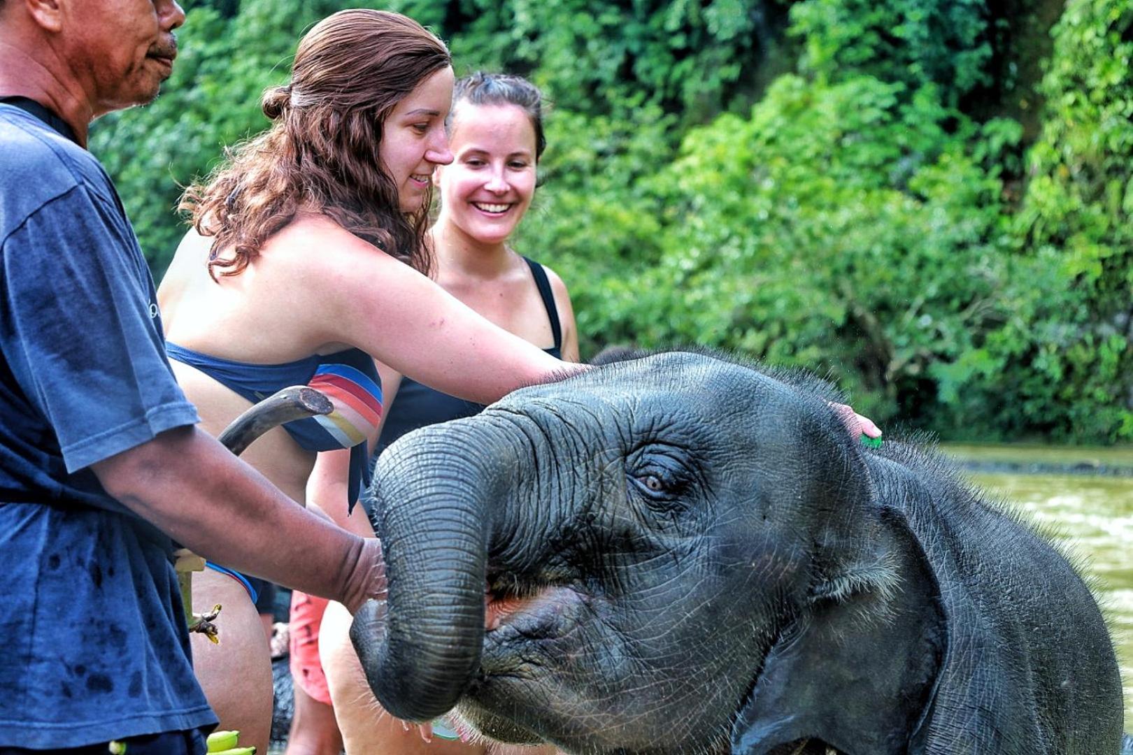 Tropical Jungle lodge & Jungle trekking