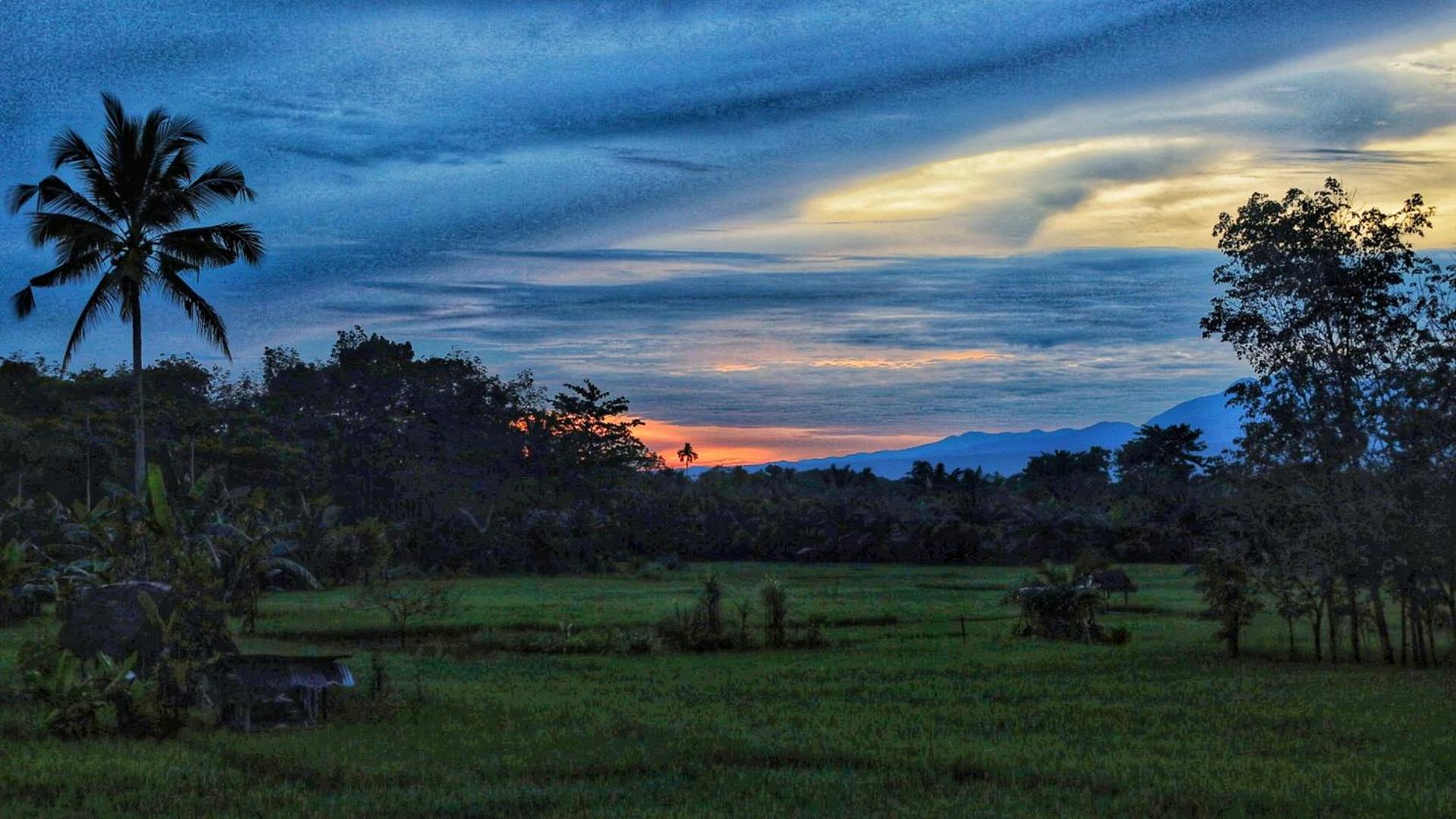 Tropical Jungle lodge & Jungle trekking