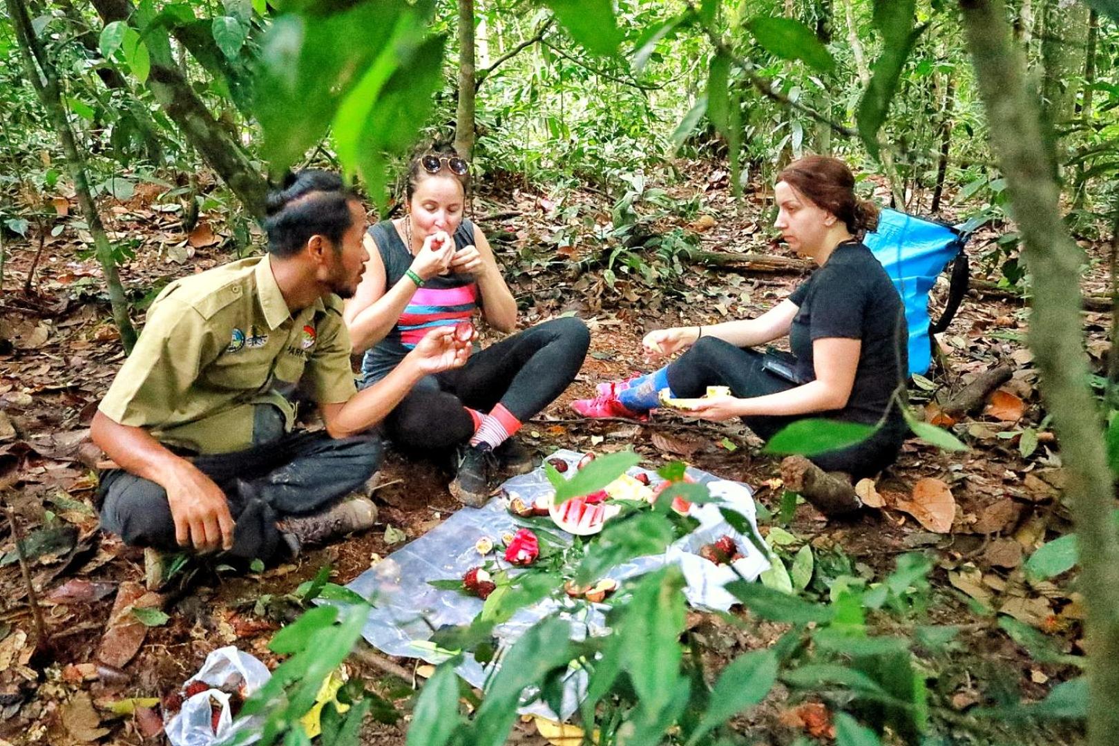 Tropical Jungle lodge & Jungle trekking