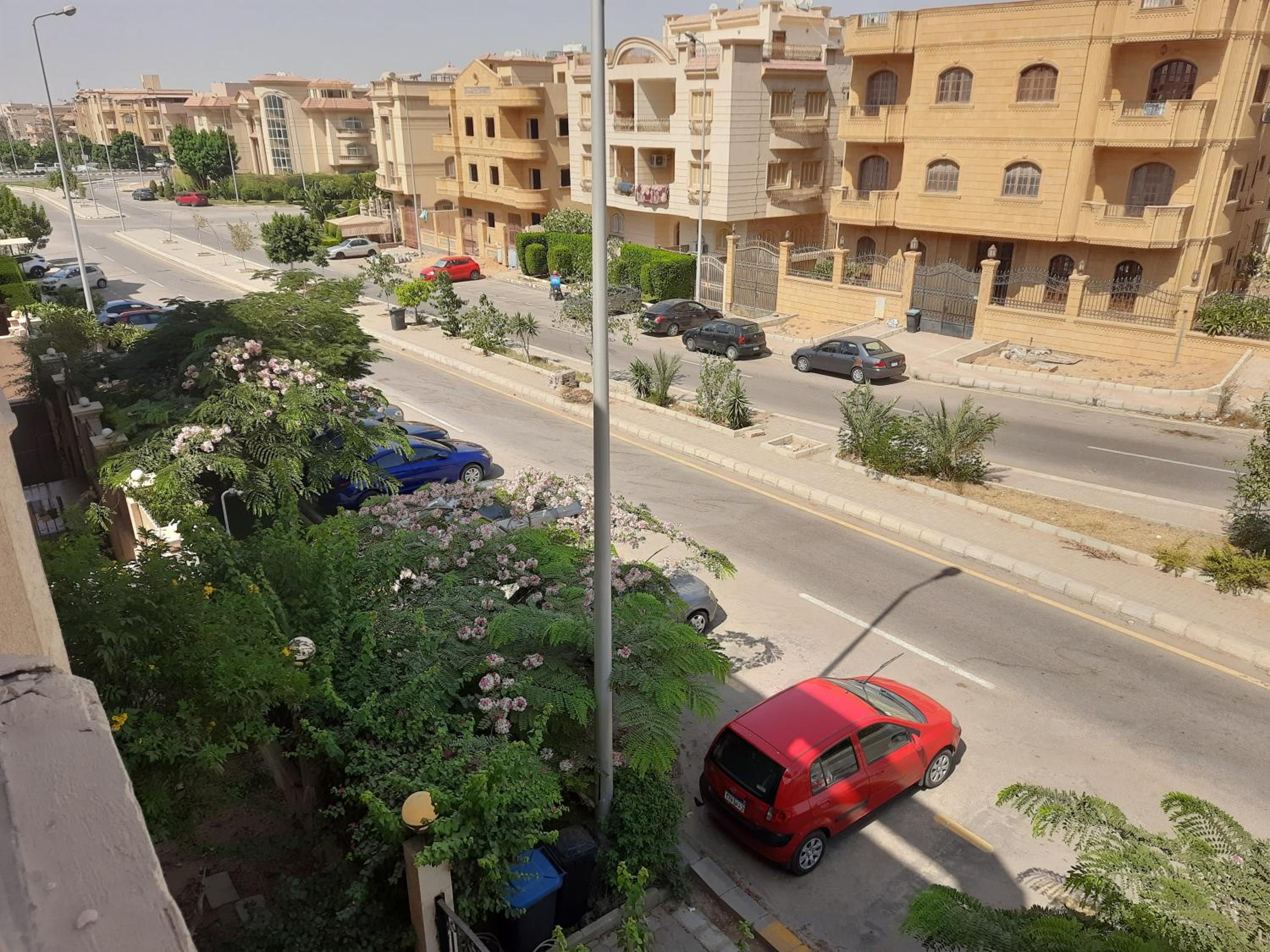 New Cairo Zoé