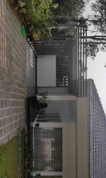 Ultra Modern Glass house with large Swimming pool and garden view 4