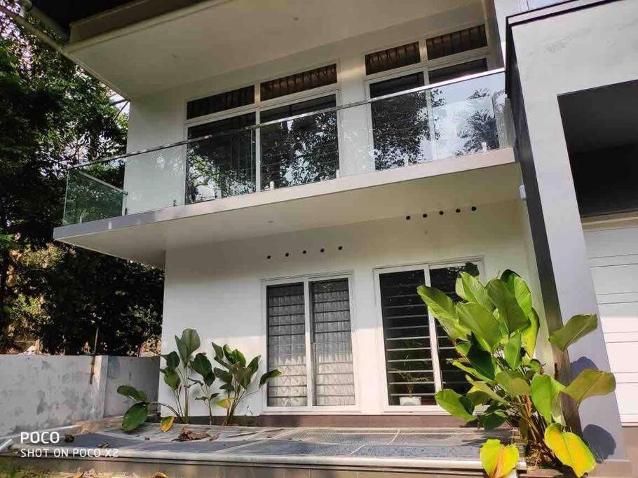 Ultra Modern Glass house with large Swimming pool and garden view 5