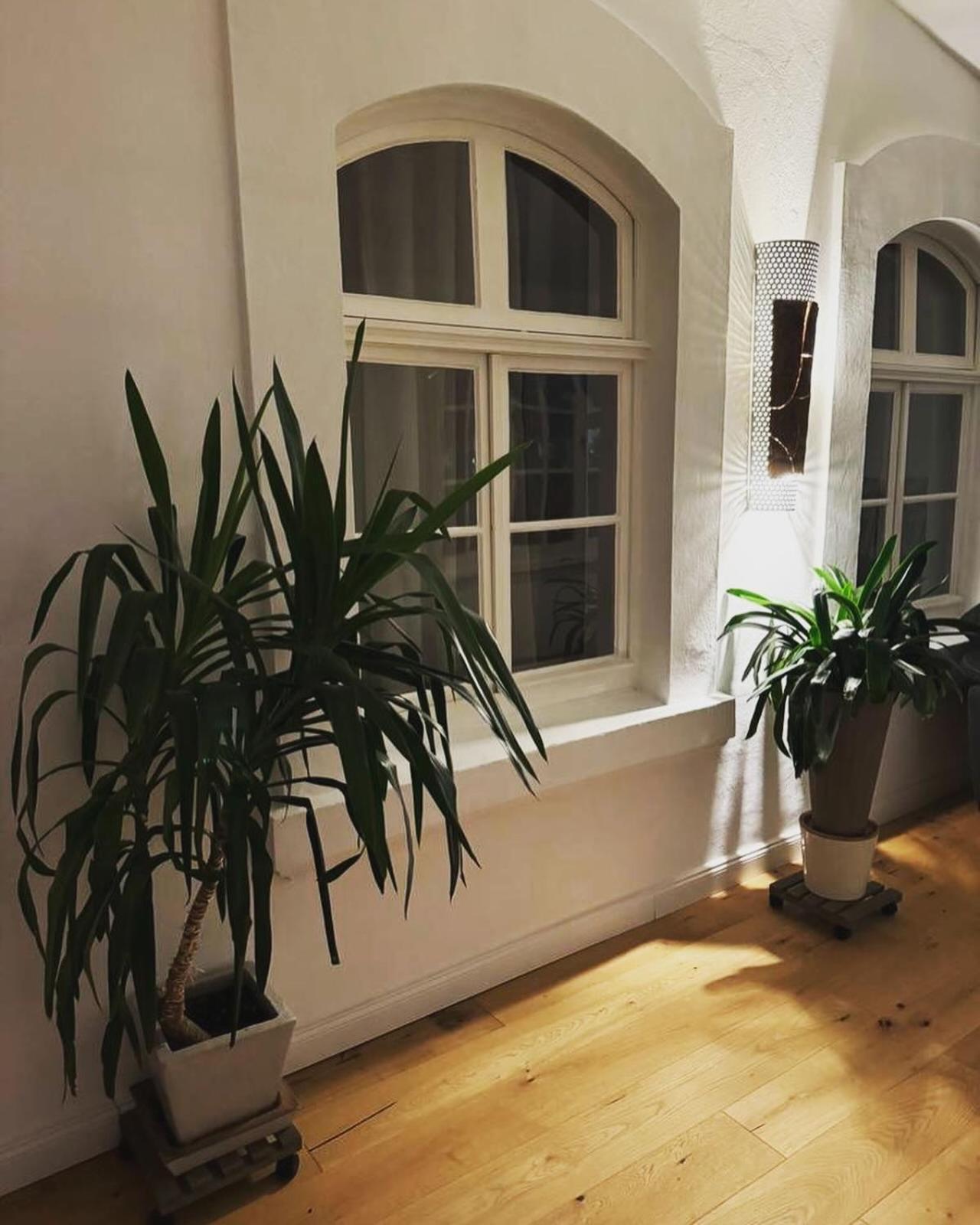 Boardinghouse am Herforder Tor für 8 Personen auf 185 m2